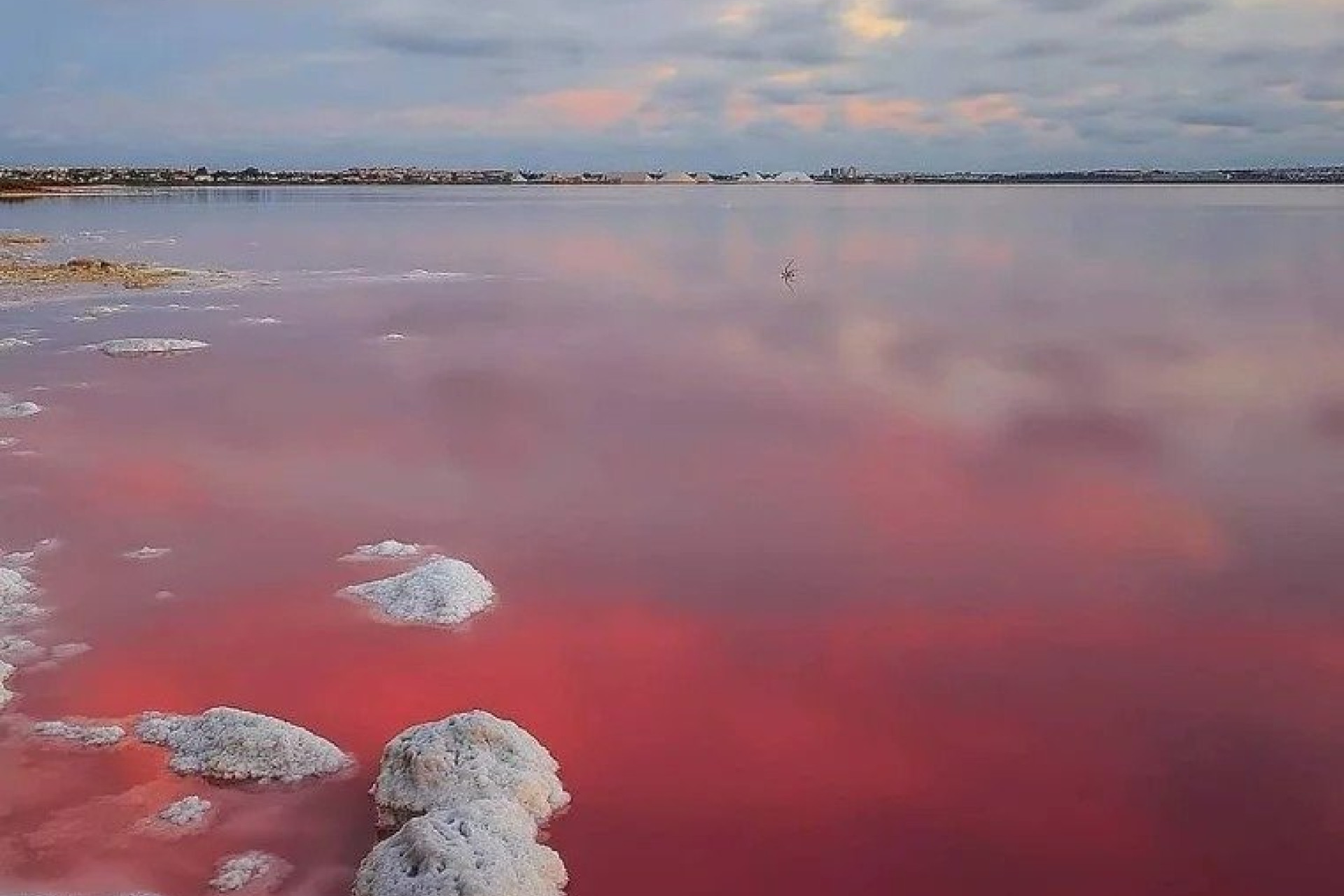 Nieuwbouw - Villa -
Torrevieja - Lago Jardin