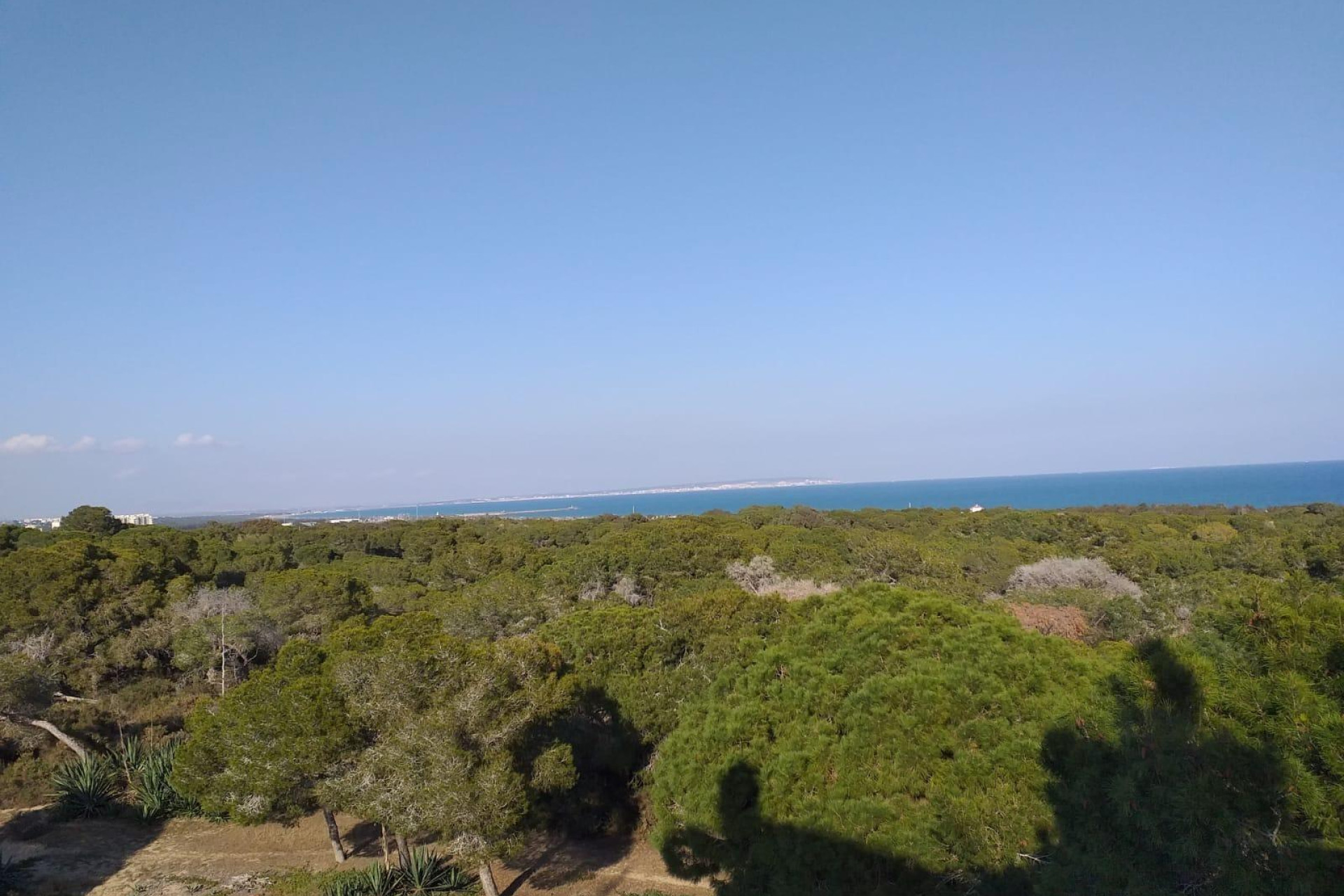 Nouvelle construction - Appartement -
Guardamar del Segura