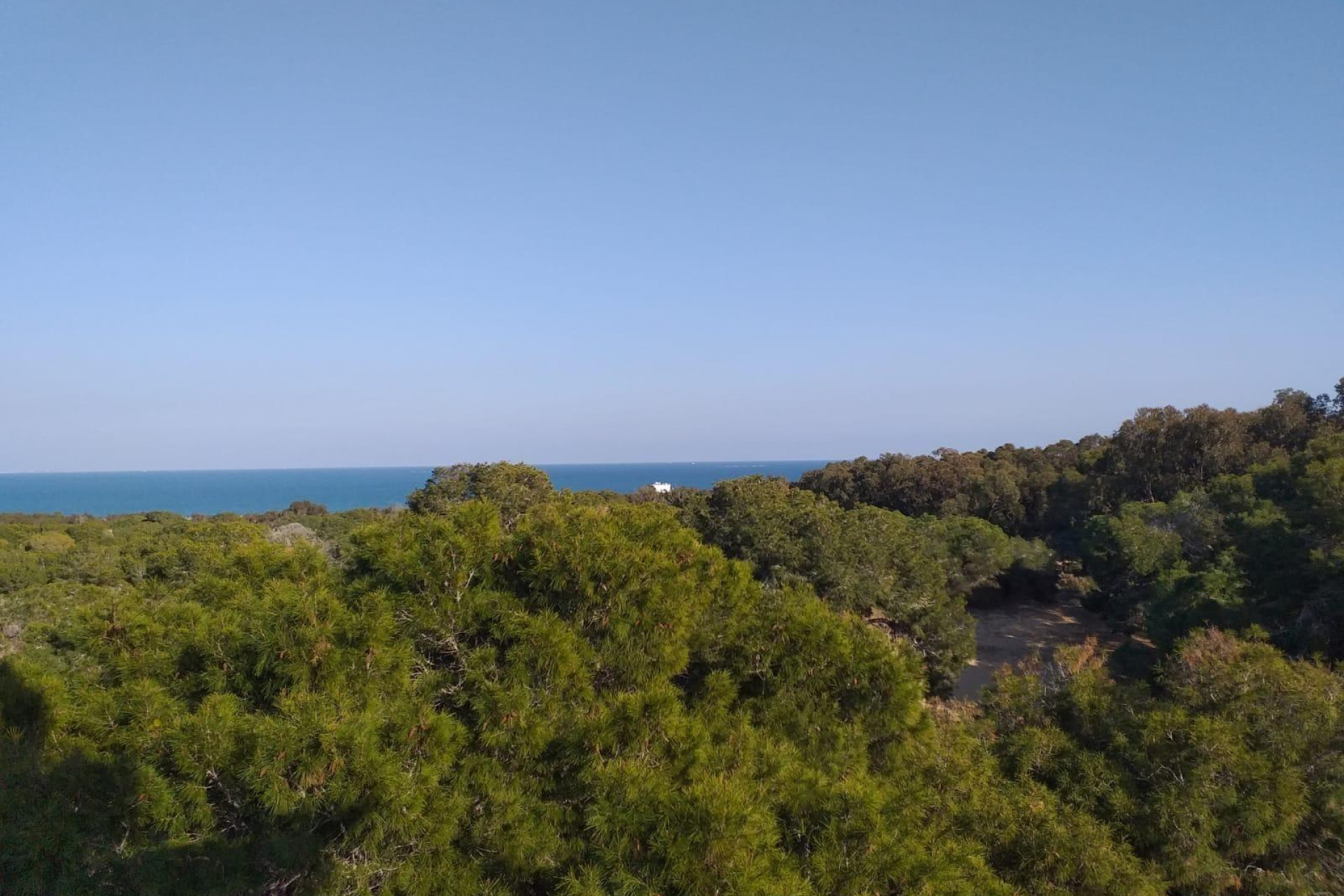 Nouvelle construction - Appartement -
Guardamar del Segura