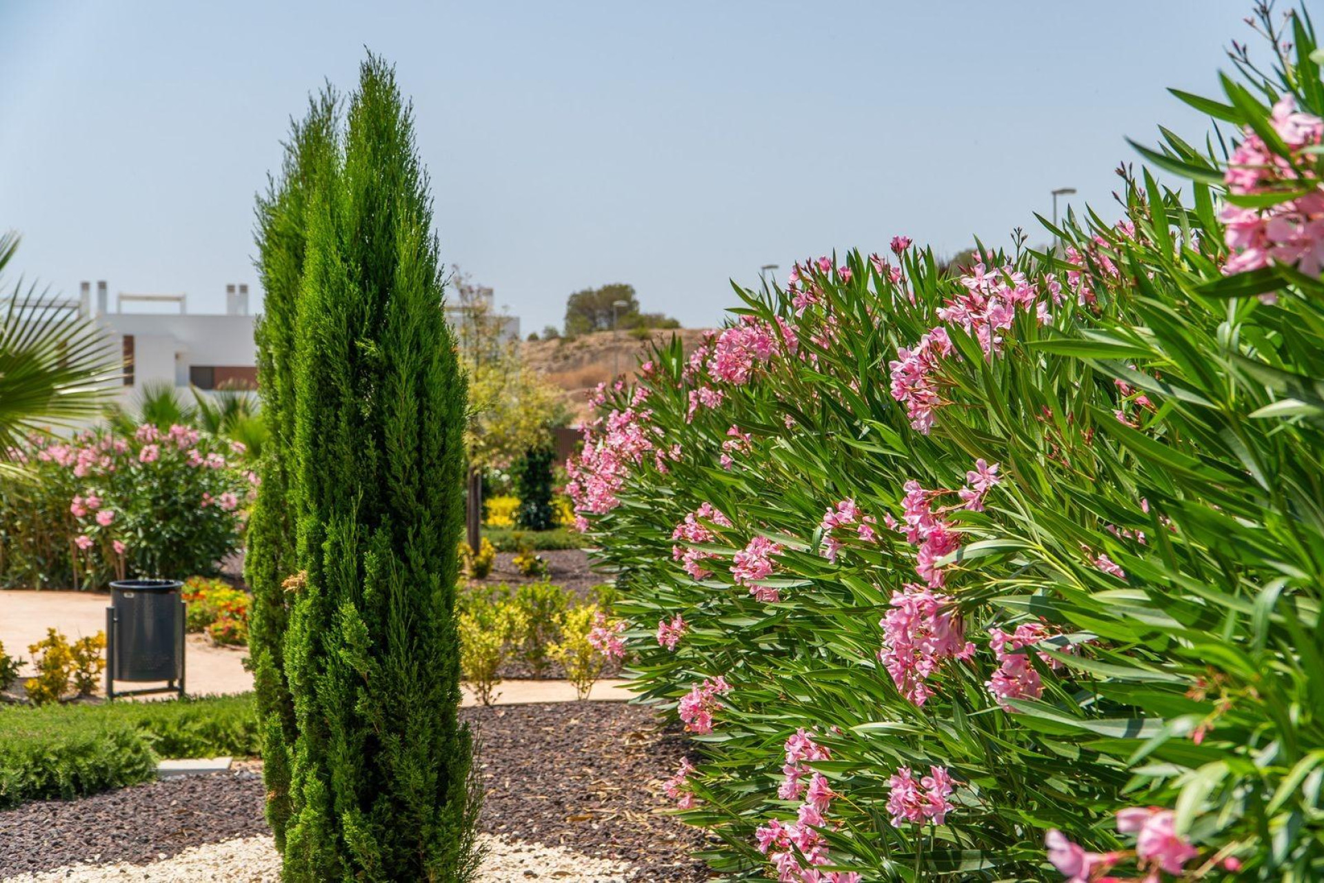 Nouvelle construction - Bungalow -
Orihuela Costa - Vistabella Golf