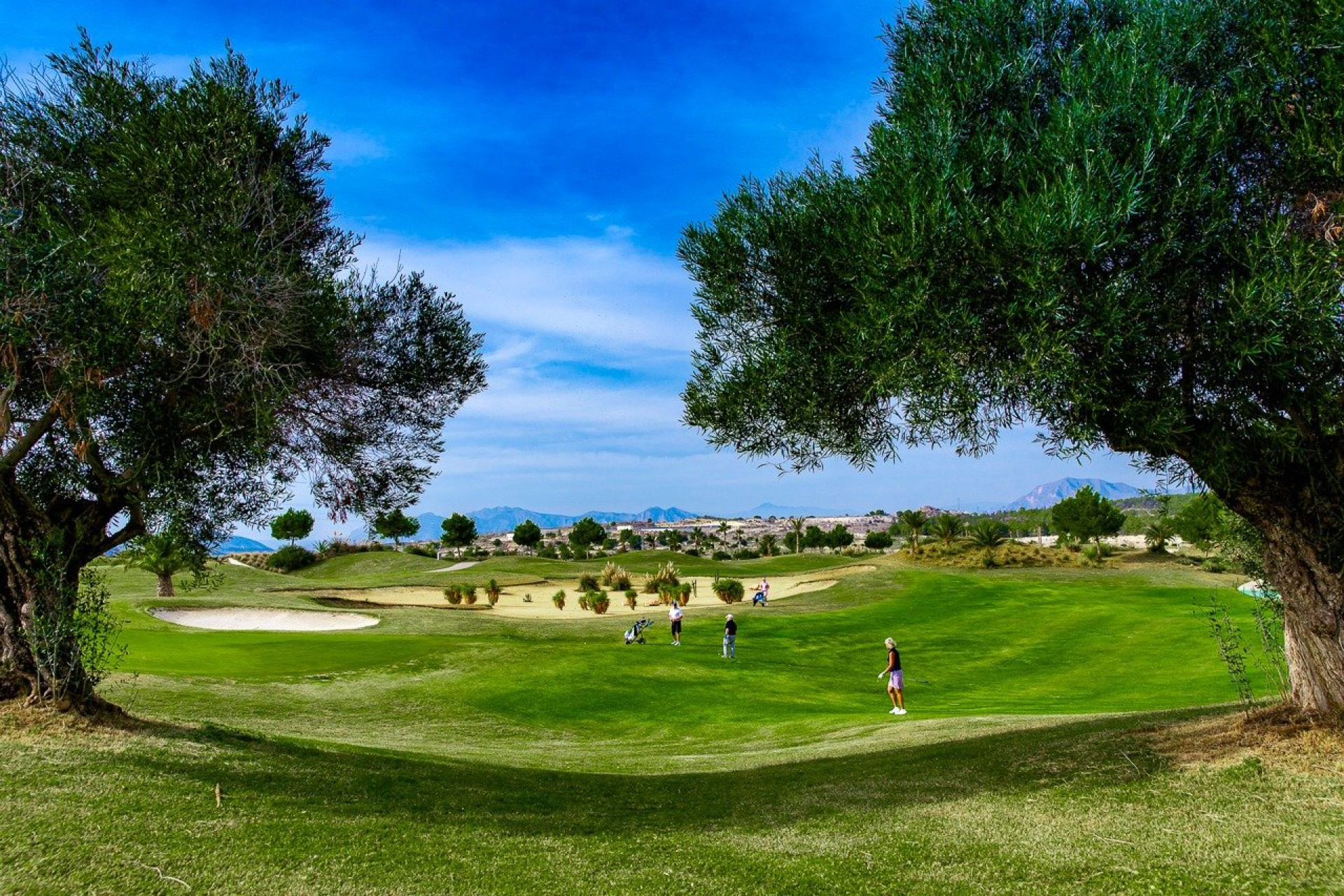 Nouvelle construction - Bungalow -
Orihuela Costa - Vistabella Golf