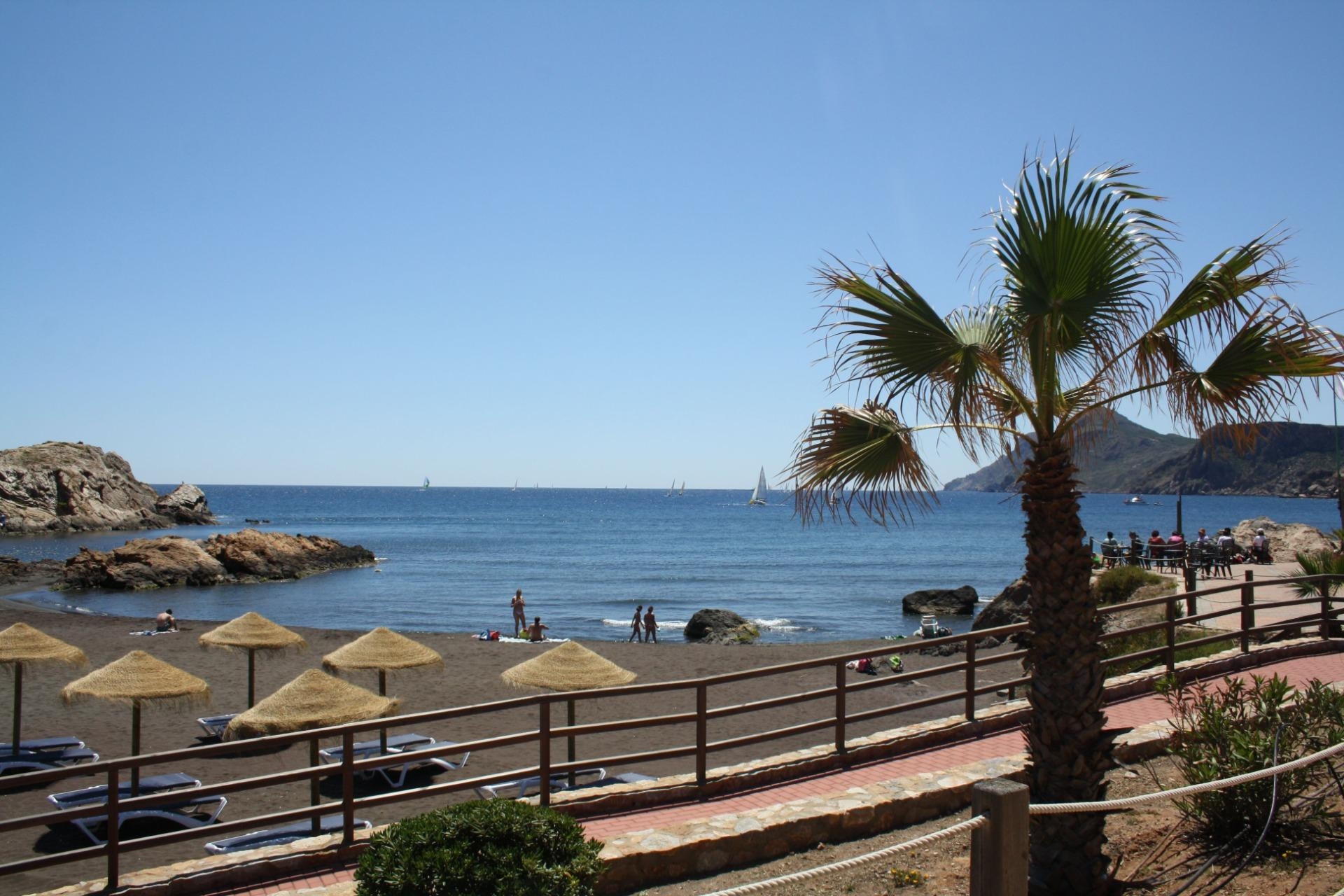 Nouvelle construction - Maison mitoyenne -
La Union - centro