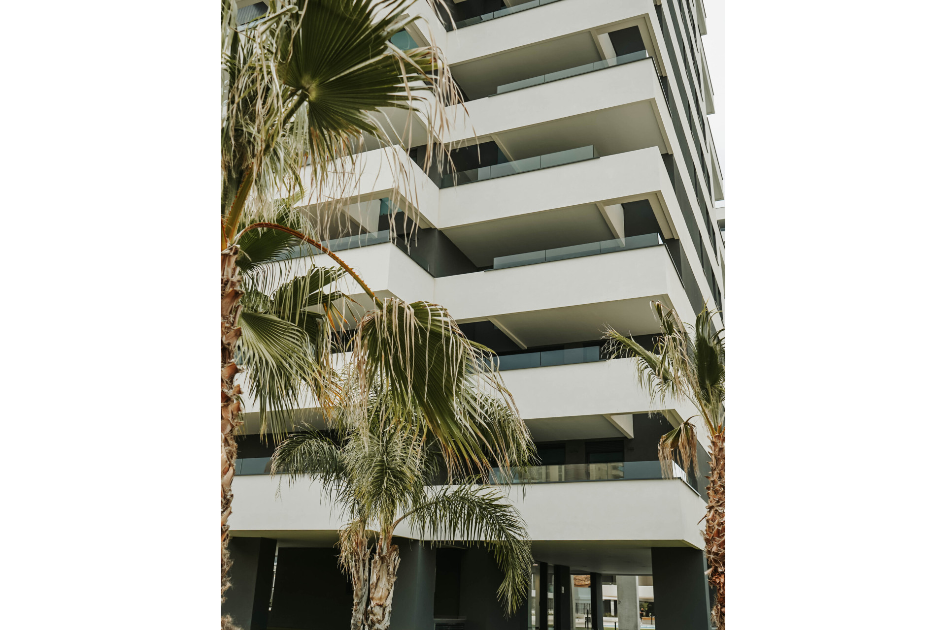 Nouvelle construction - Penthouse -
Calpe