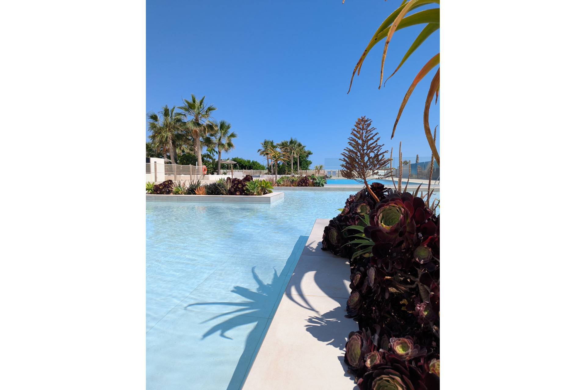 Nouvelle construction - Penthouse -
Denia