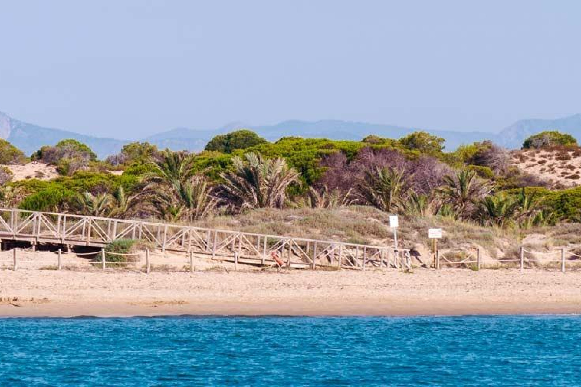 Nouvelle construction - Penthouse -
Guardamar del Segura