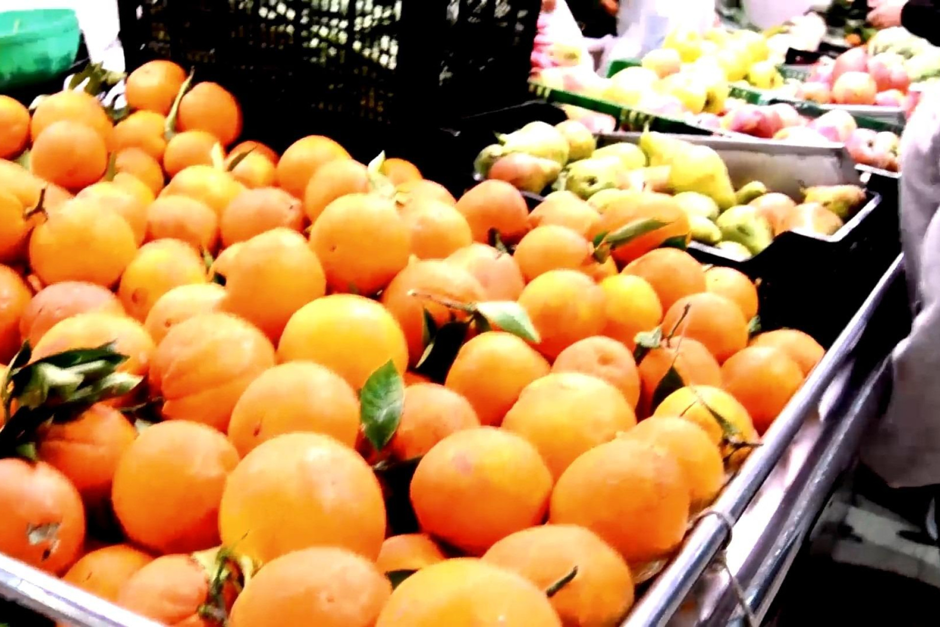 Nouvelle construction - studio -
Torrevieja - Centro