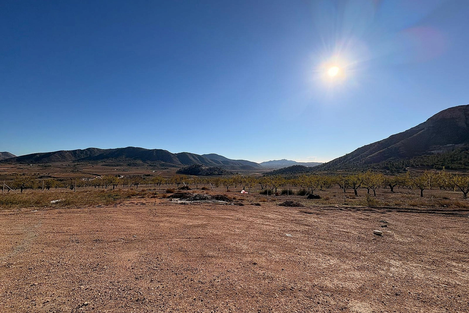 Nouvelle construction - Villa -
El Canton