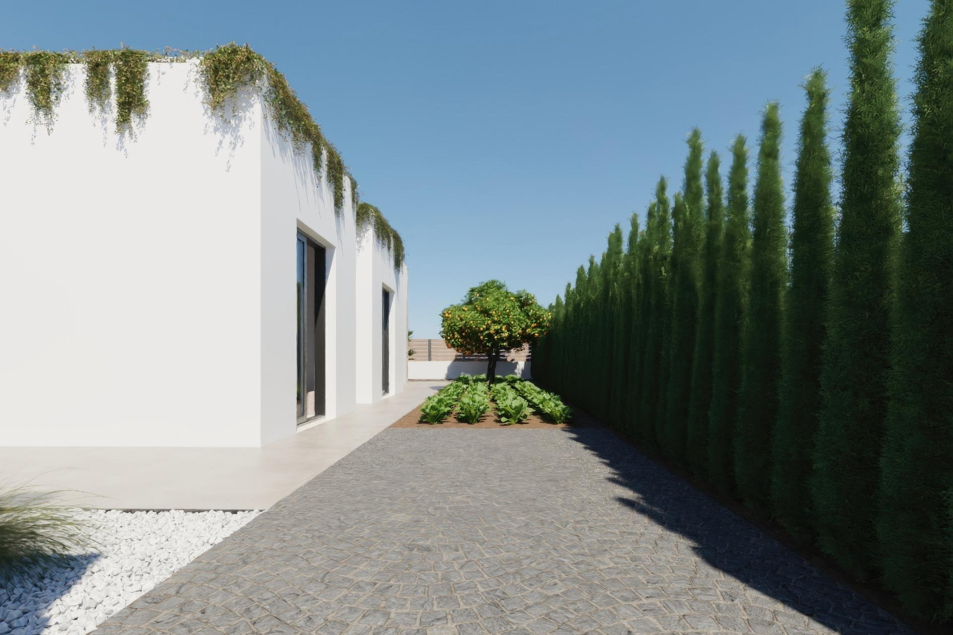 Nouvelle construction - Villa -
Fuente Álamo - Hacienda del Alamo