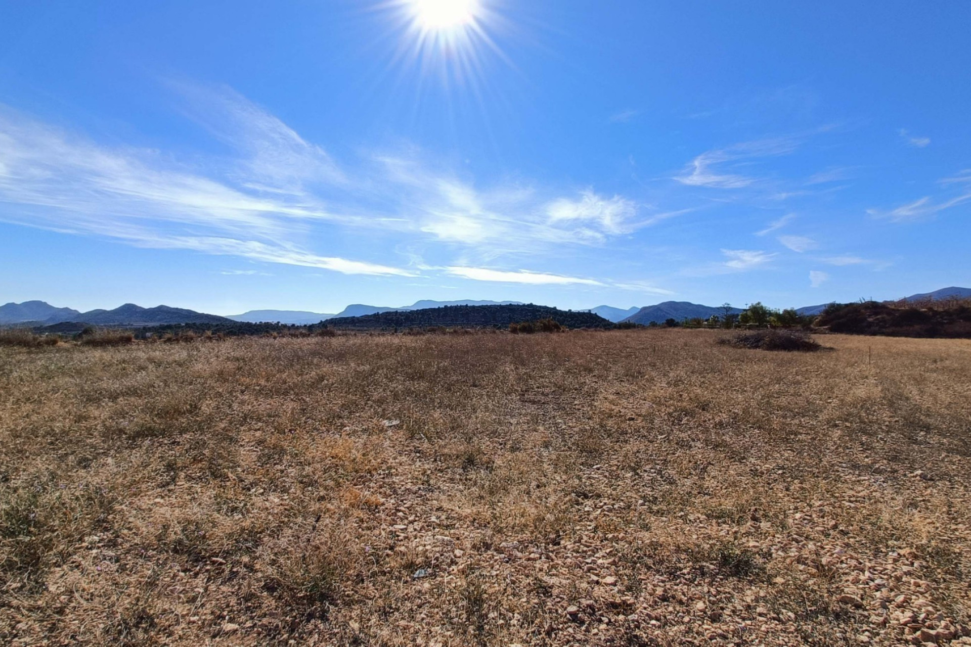 Nouvelle construction - Villa -
La Romana