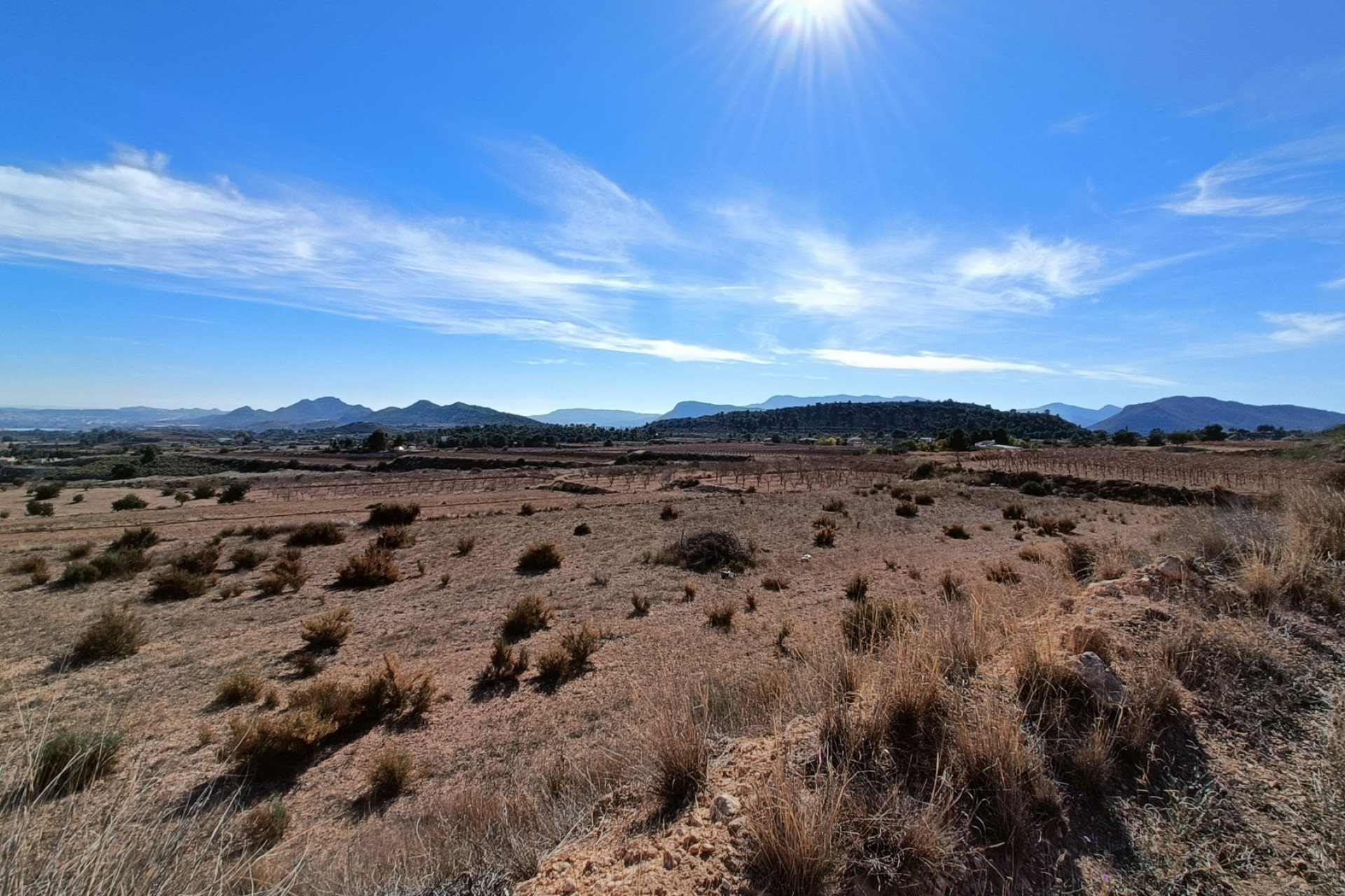 Nouvelle construction - Villa -
La Romana