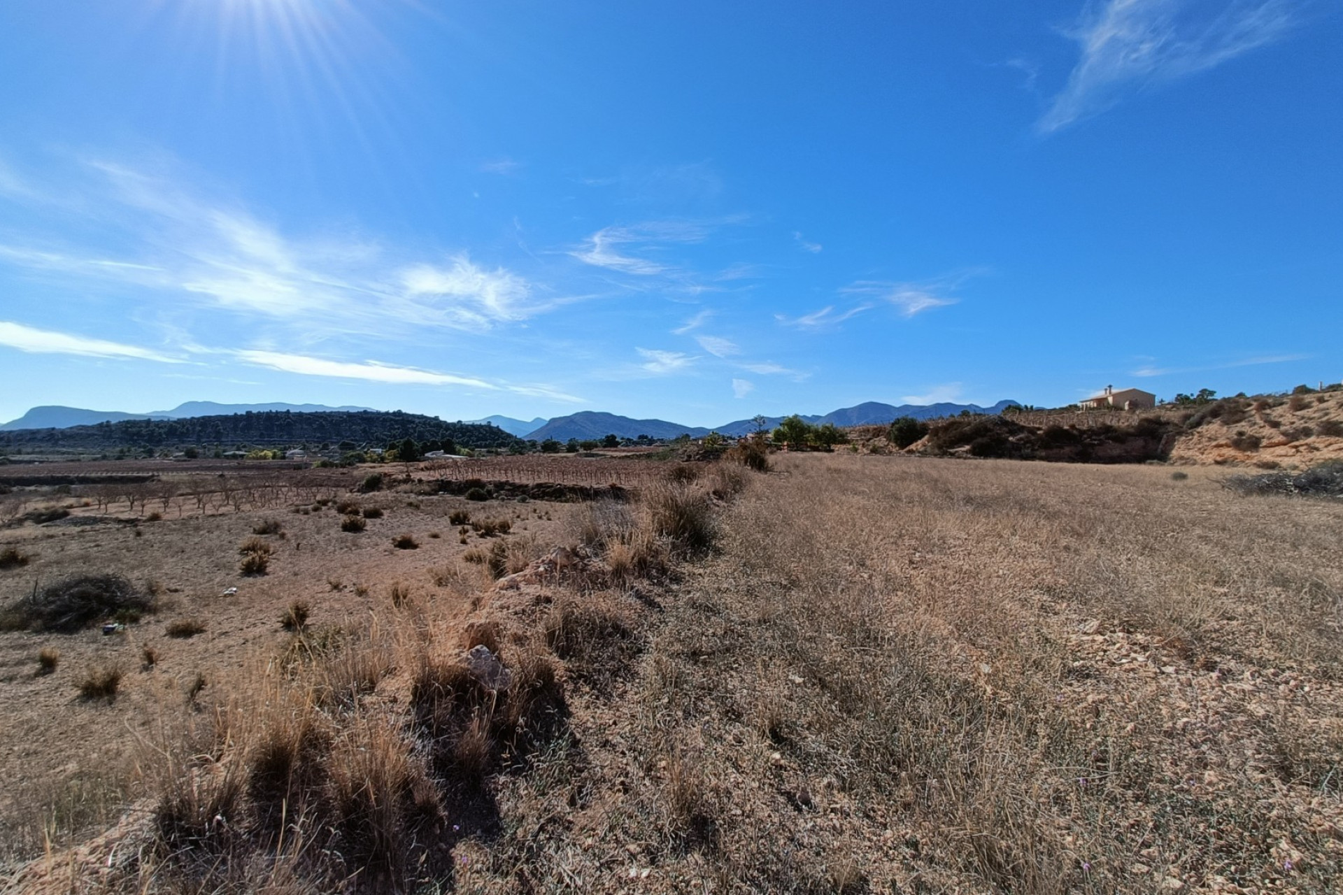 Nouvelle construction - Villa -
La Romana