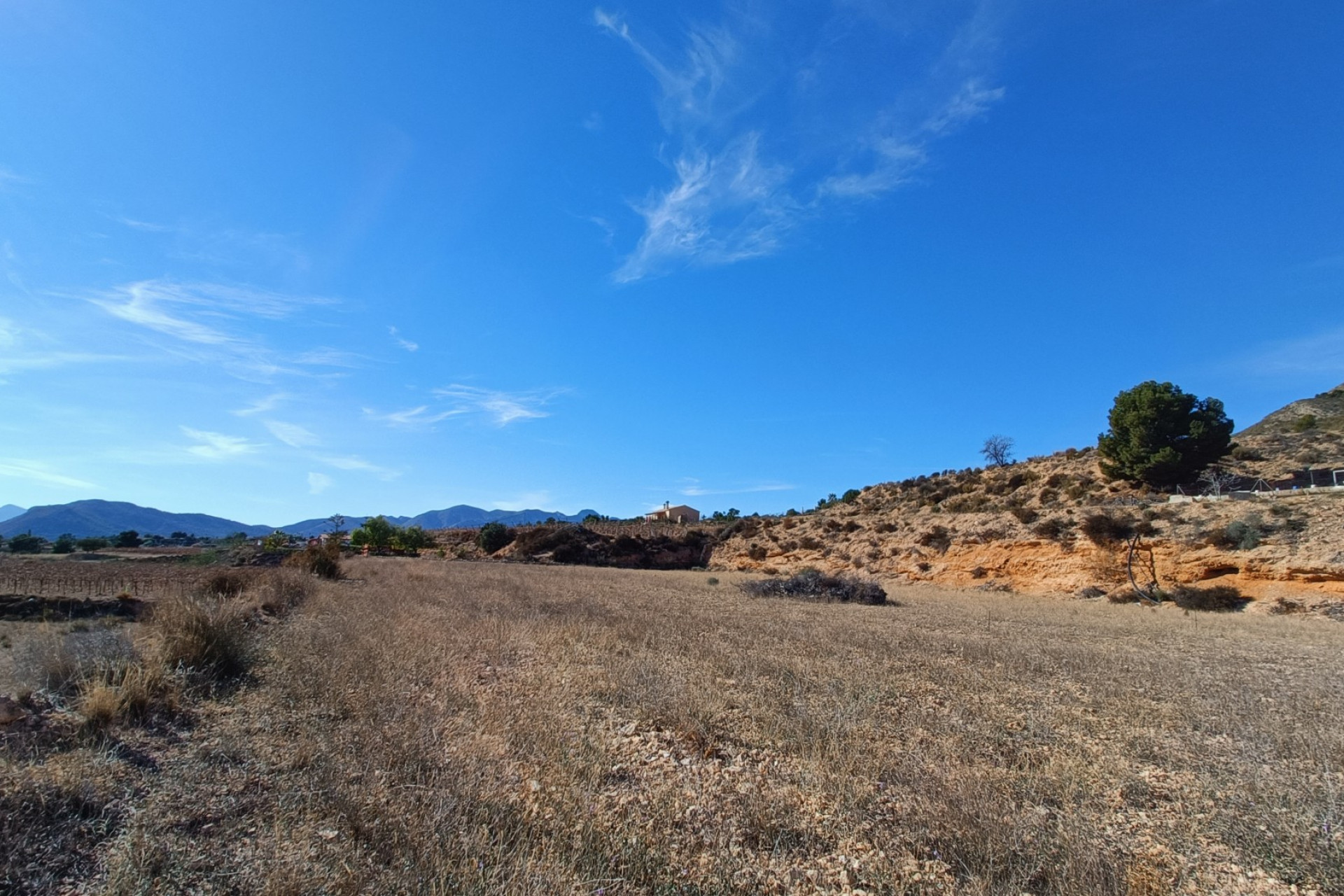 Nouvelle construction - Villa -
La Romana