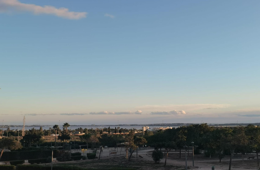 Nouvelle construction - Villa -
Los Montesinos - La Herrada