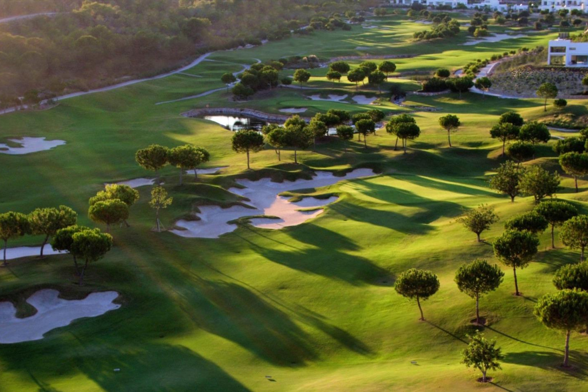 Nouvelle construction - Villa -
Orihuela Costa - Las Colinas Golf