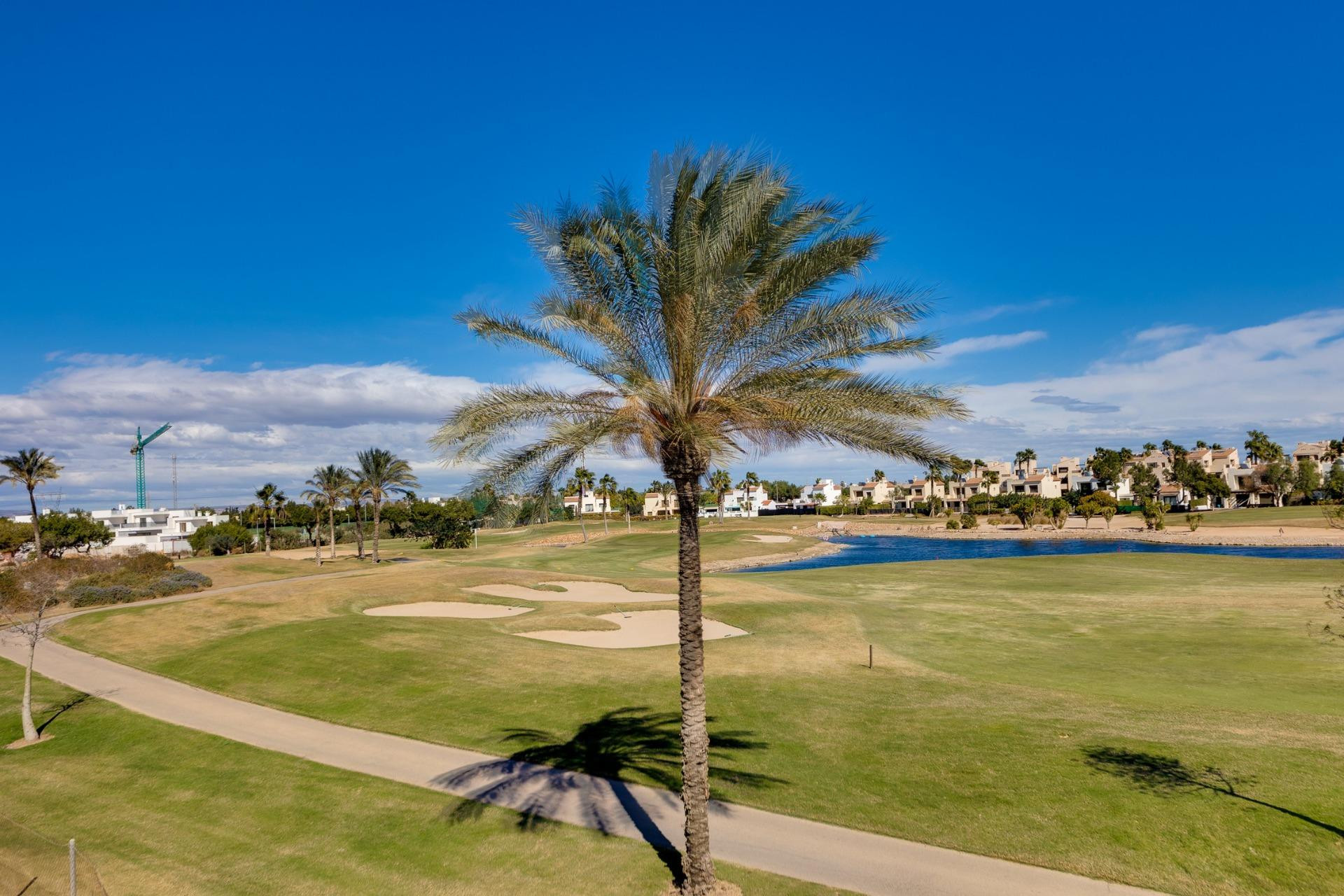 Nouvelle construction - Villa -
Pilar de la Horadada - Lo Romero Golf