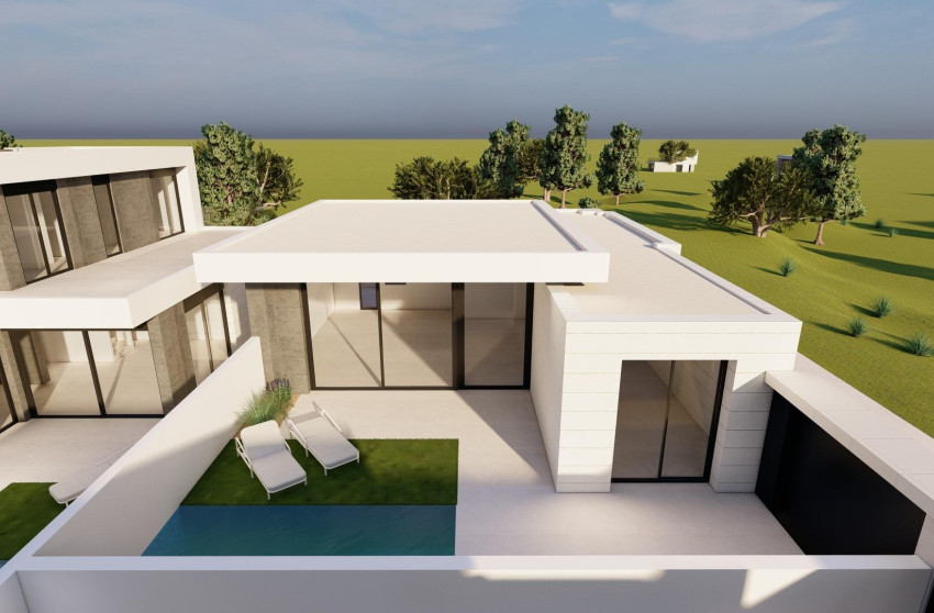 Nouvelle construction - Villa -
Pilar de la Horadada - pueblo