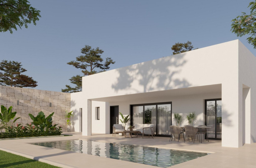 Nouvelle construction - Villa -
Pinoso - Lel