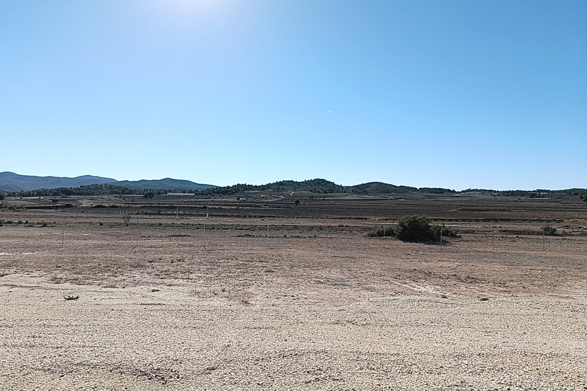 Nouvelle construction - Villa -
Pinoso