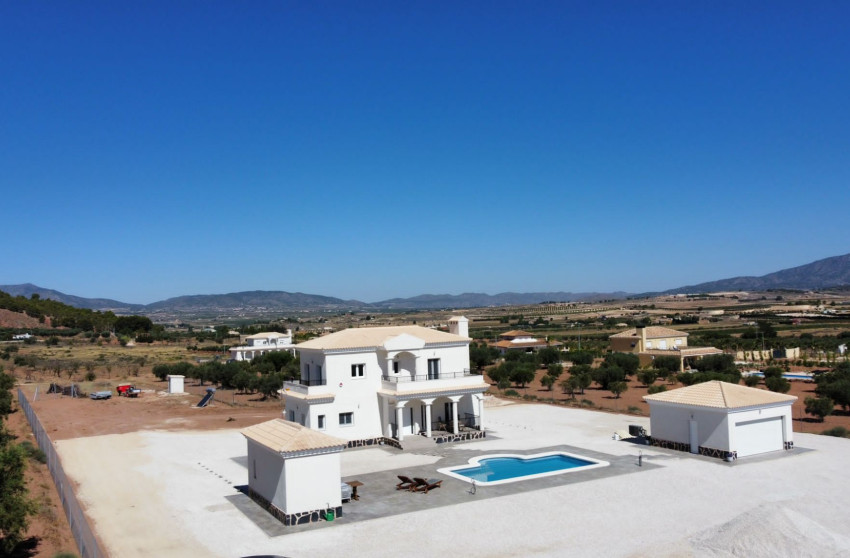 Nouvelle construction - Villa -
Pinoso