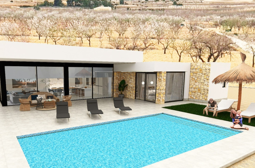 Nouvelle construction - Villa -
Pinoso