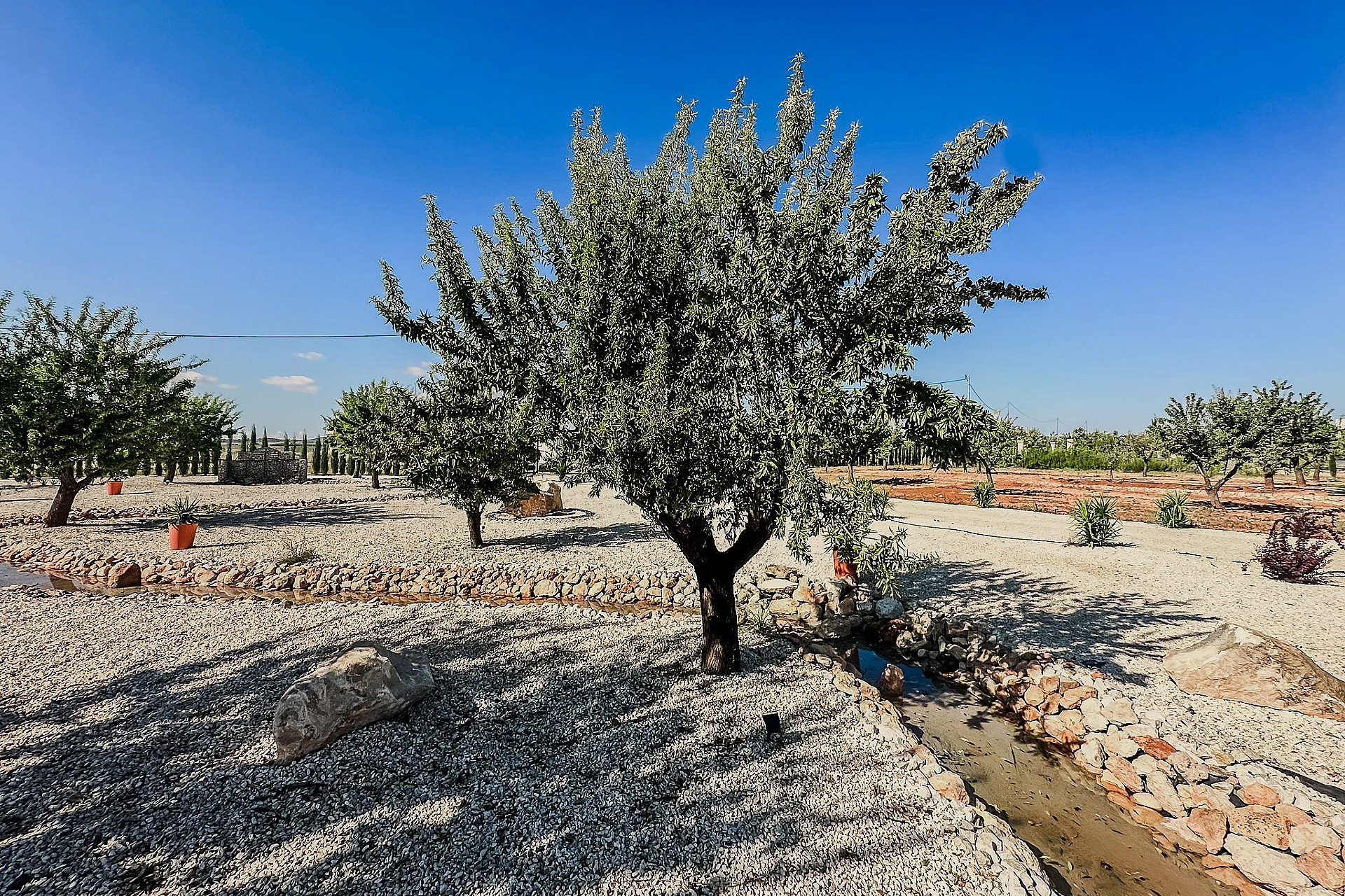 Nouvelle construction - Villa -
Pinoso