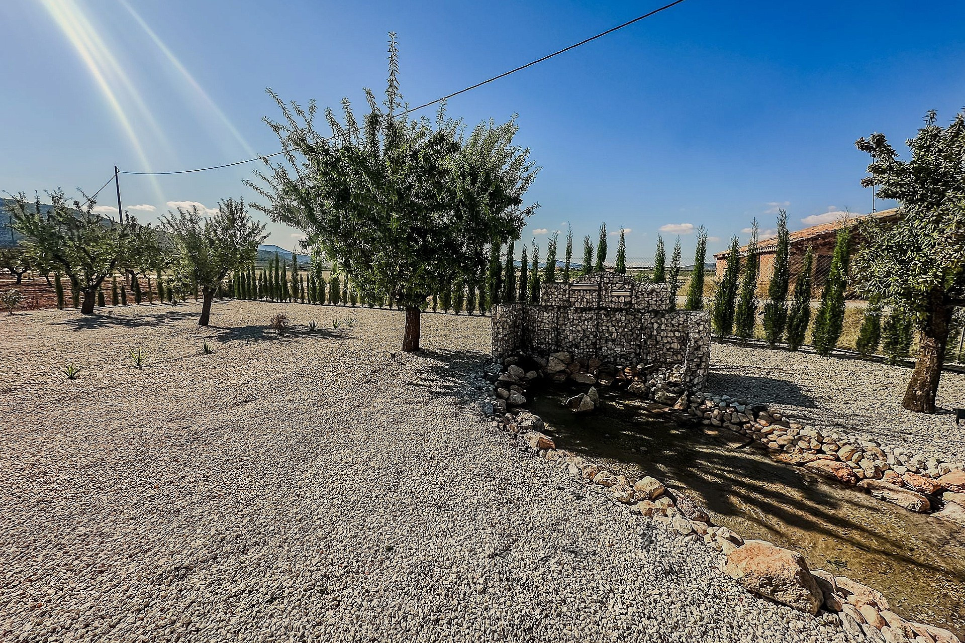 Nouvelle construction - Villa -
Pinoso