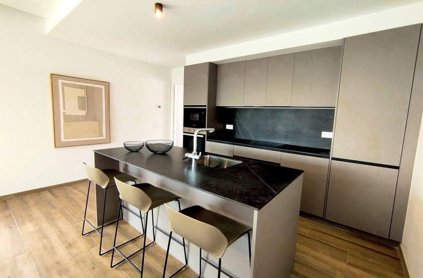 Nouvelle construction - Villa -
Polop - PAU 1