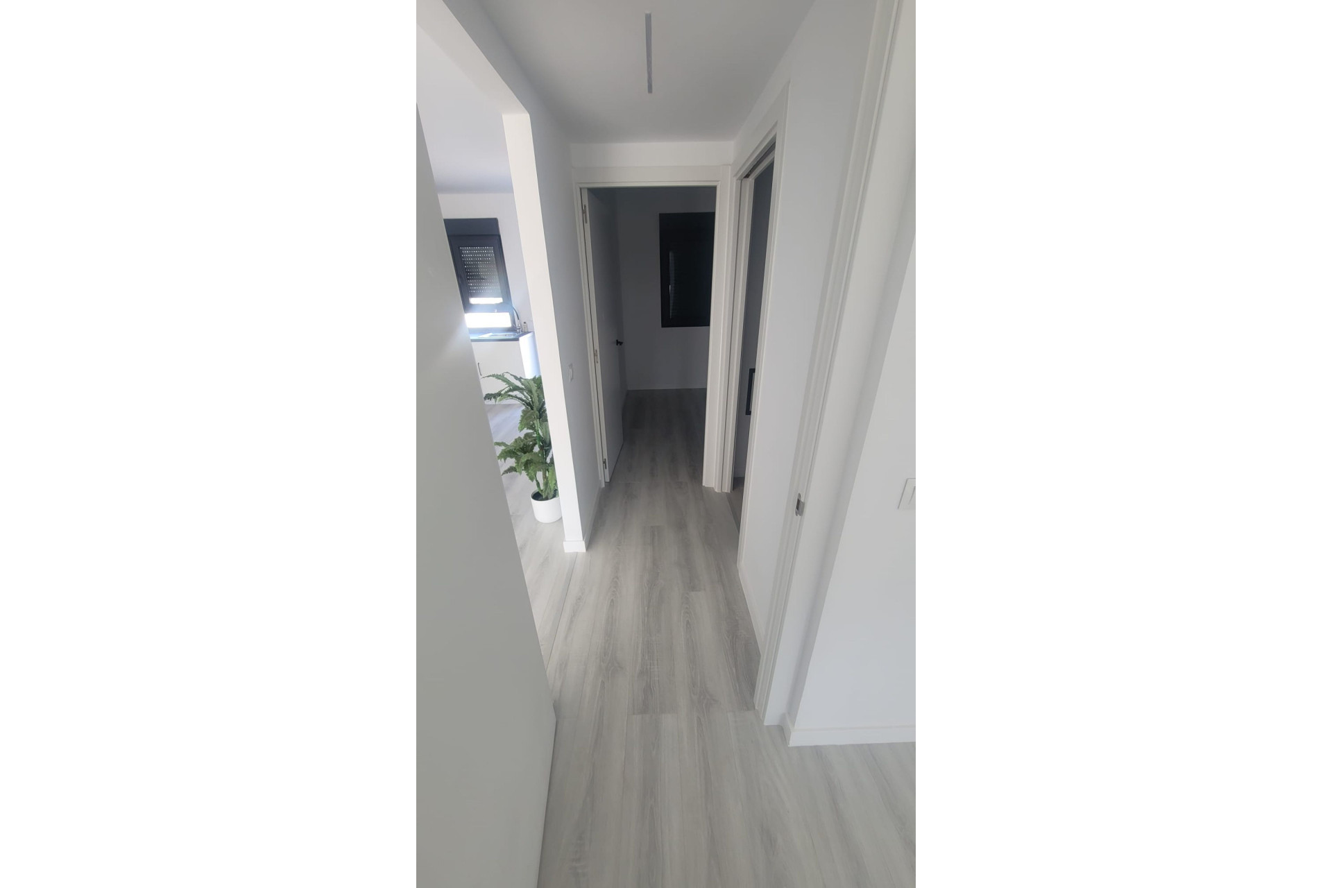 Nouvelle construction - Villa -
Salinas