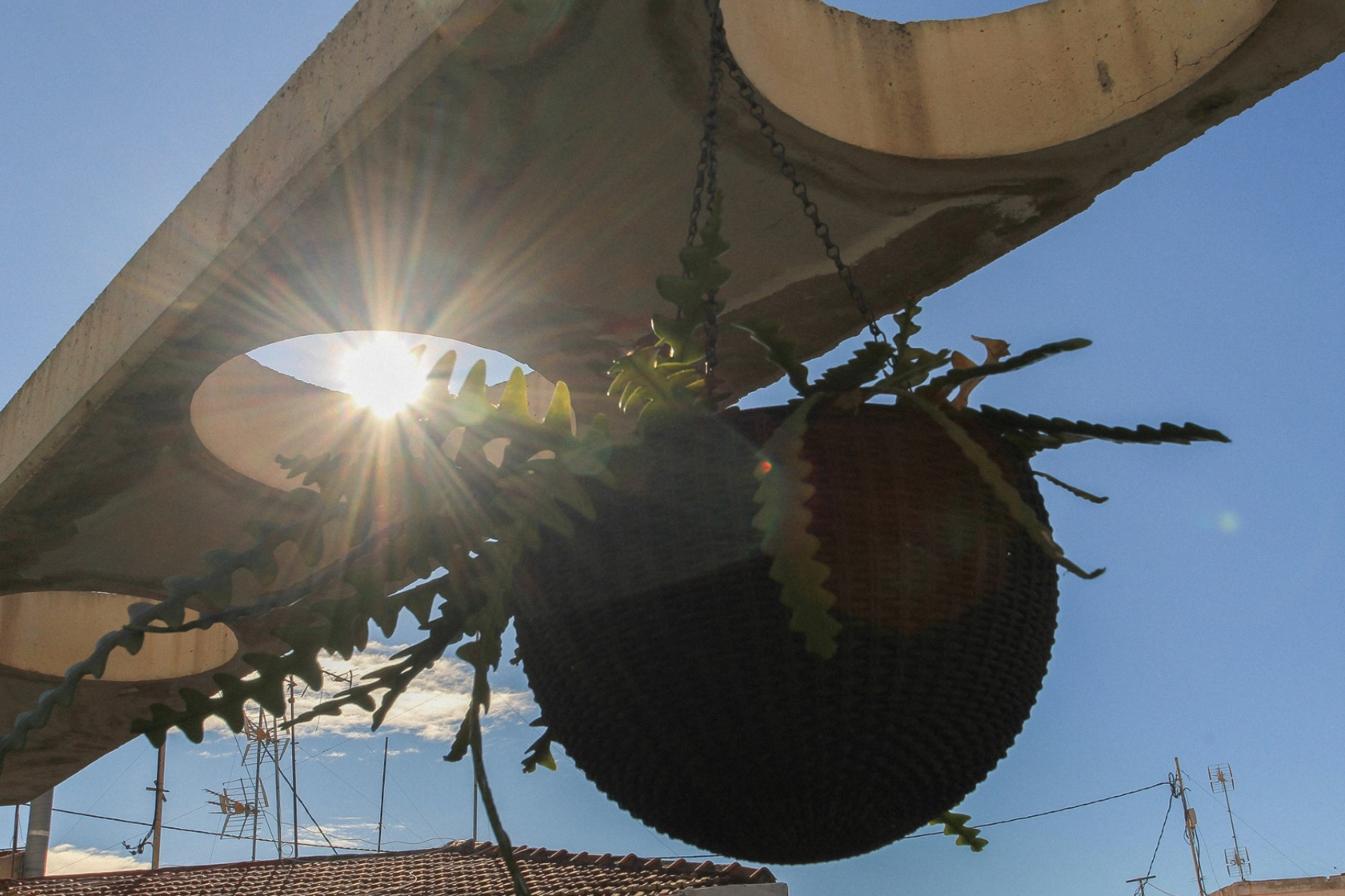 Resale - Apartment -
Alicante - Carolinas Altas