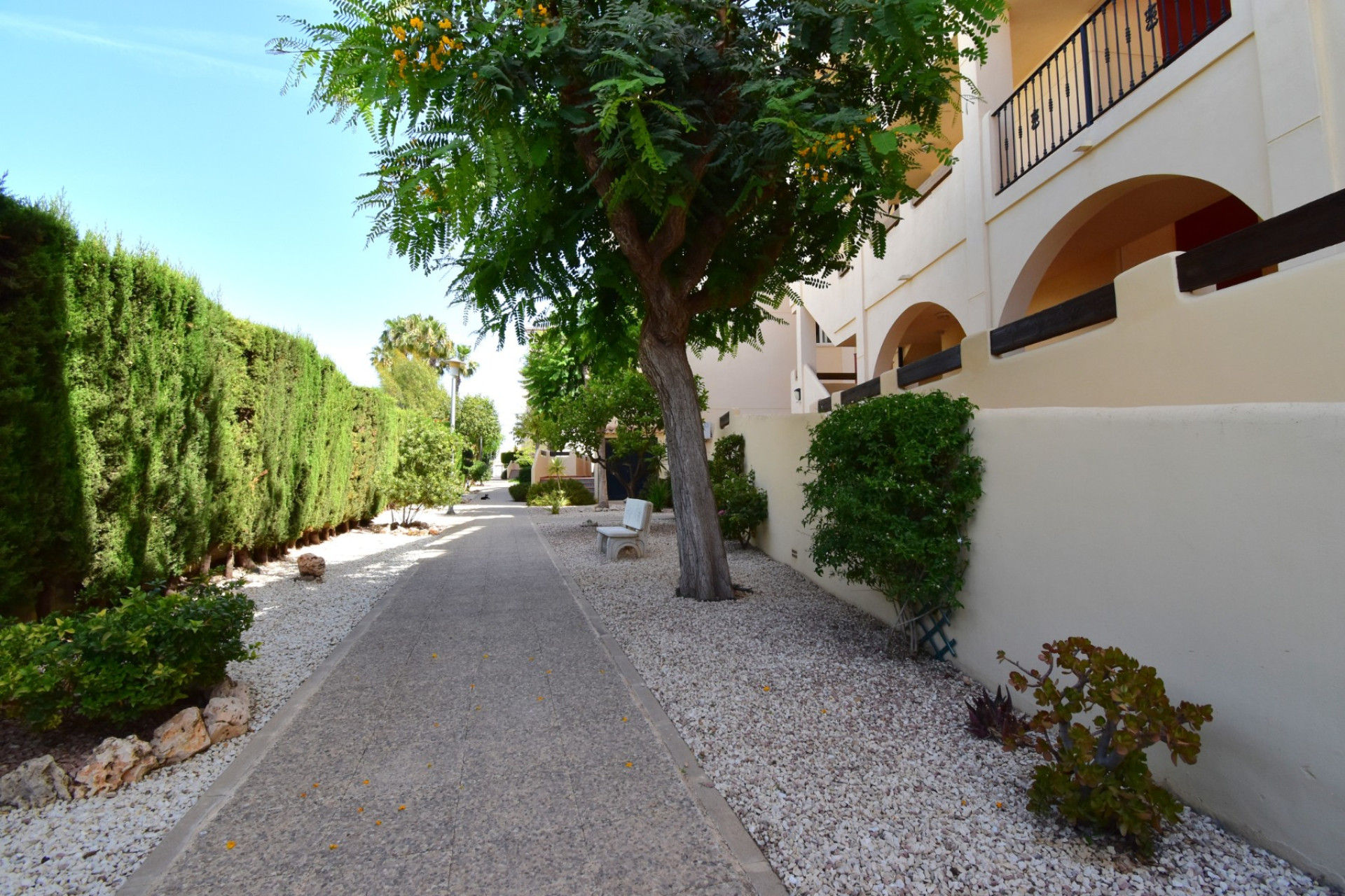 Resale - Apartment -
Orihuela Costa - Playa Flamenca