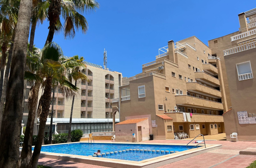 Resale - Apartment -
Punta Prima - Punta Prima Torrevieja