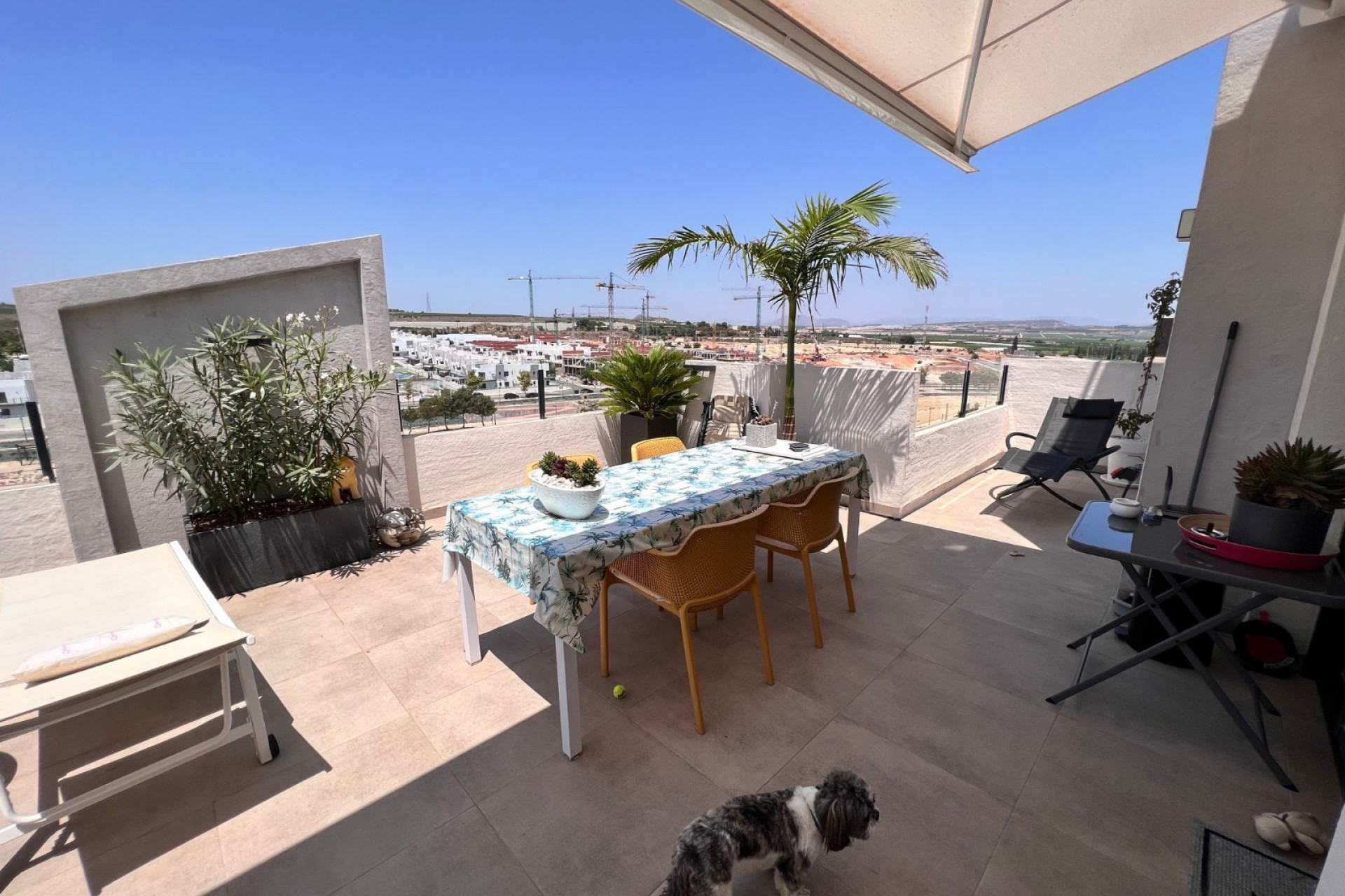 Resale - Apartment -
San Miguel de Salinas - San Miguel Salinas
