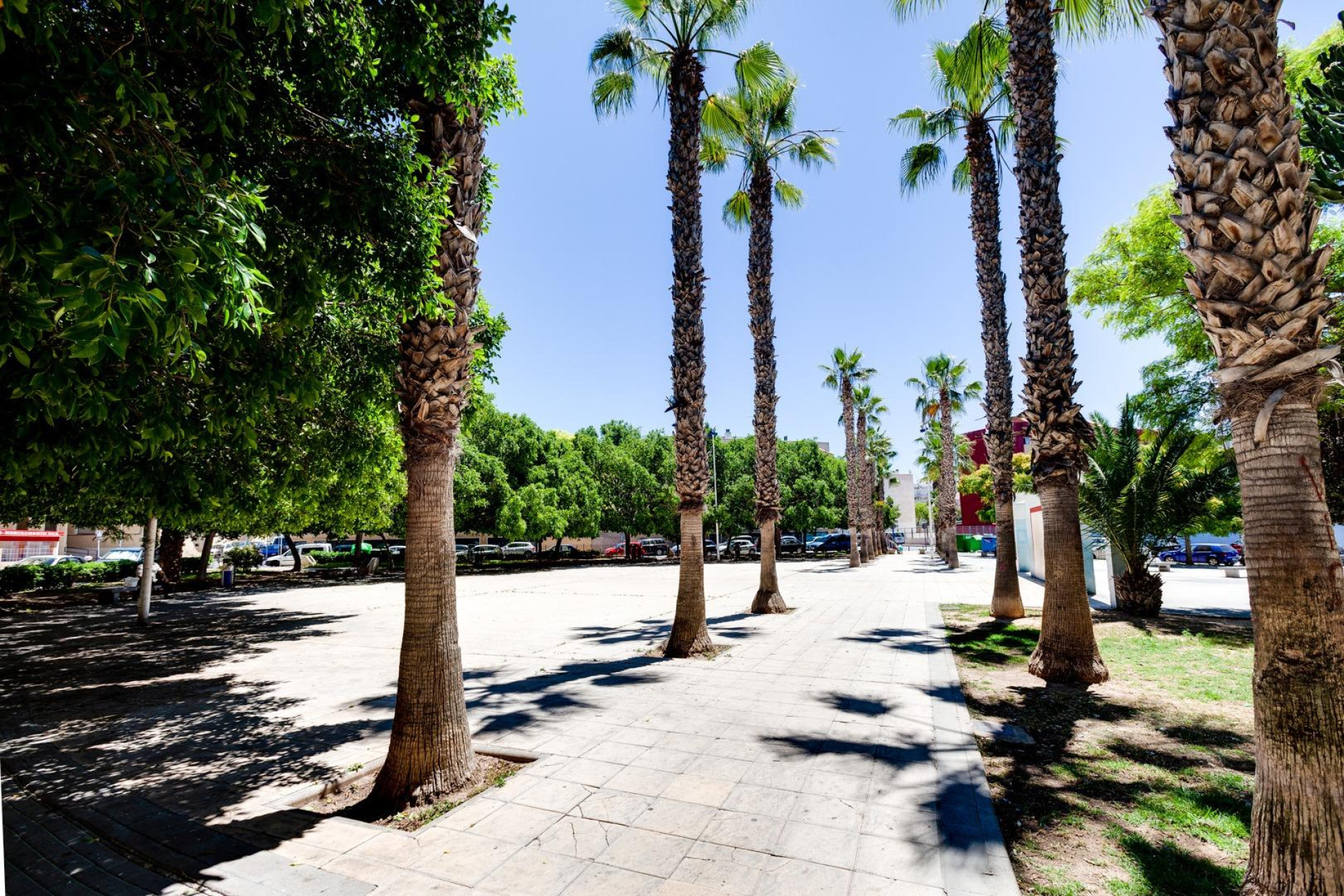 Resale - Apartment -
Torrevieja - Centro