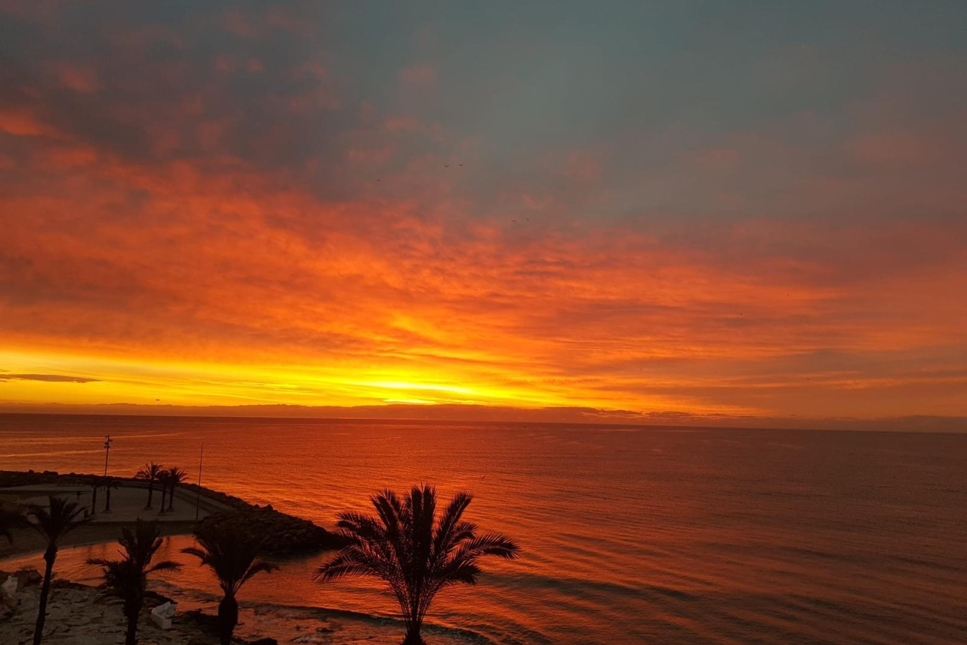 Resale - Apartment -
Torrevieja - Las Piscinas Naturales