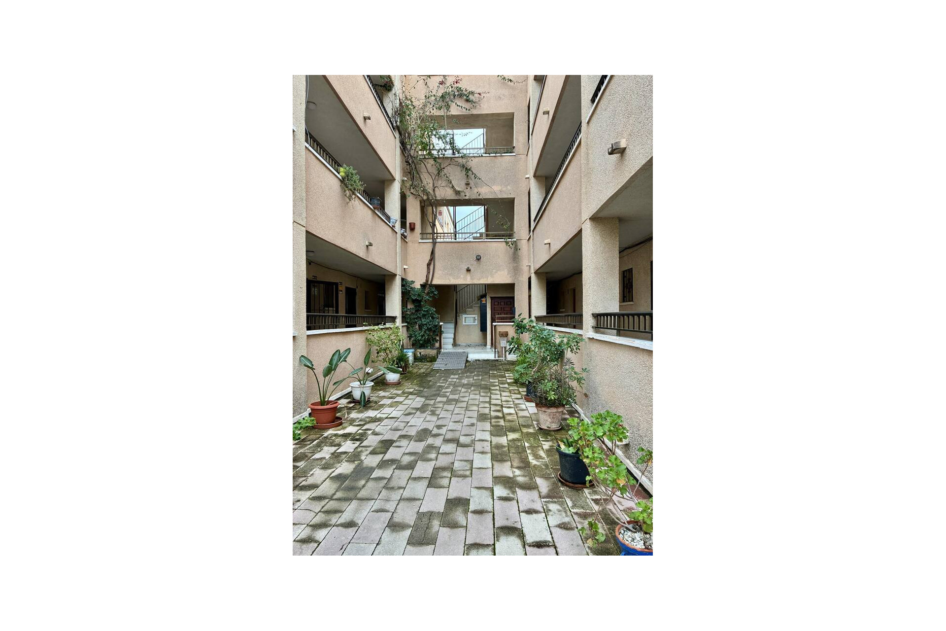 Resale - Apartment -
Torrevieja, San Luis - Costa Blanca