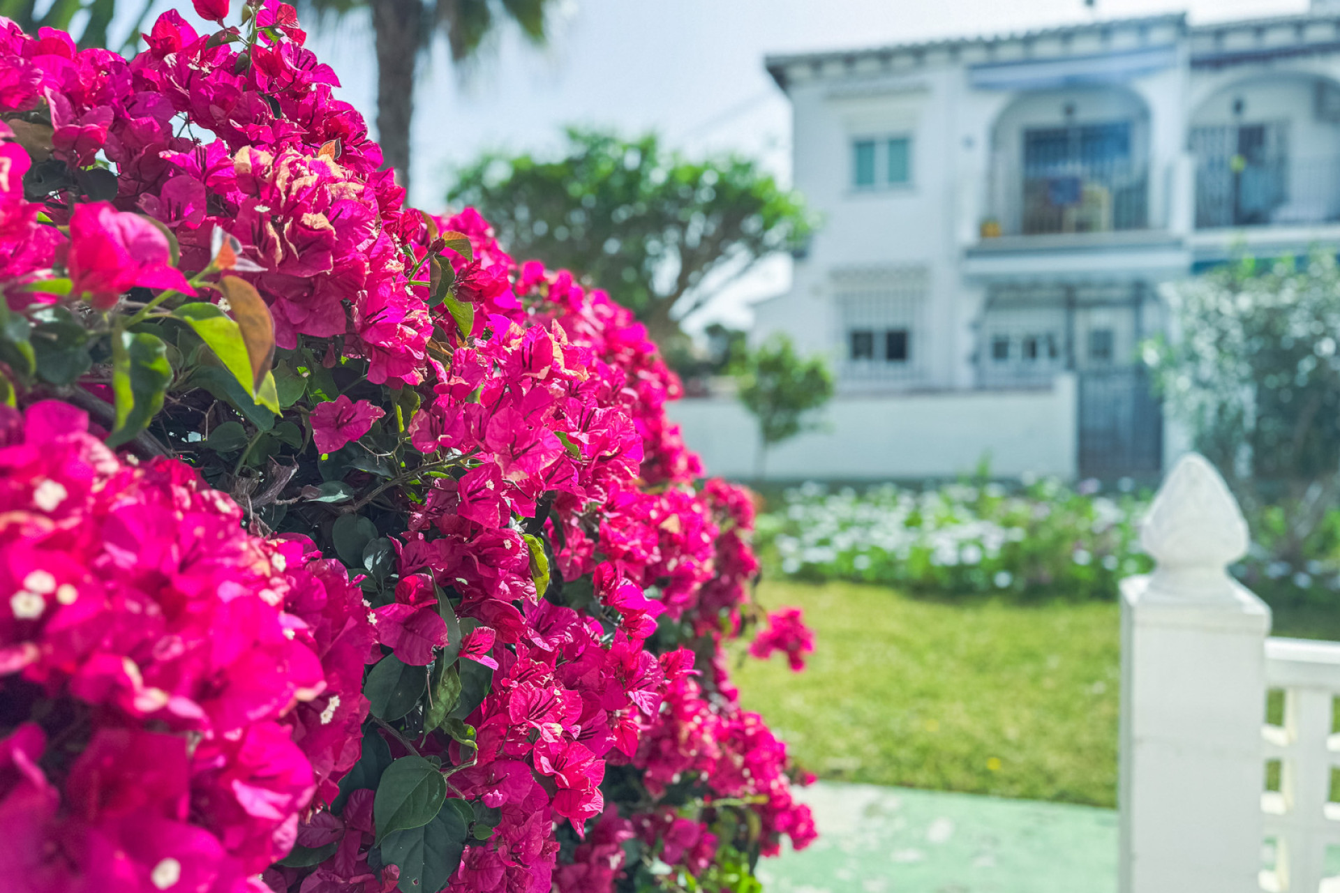 Resale - Bungalow -
Torrevieja - Lago Jardin