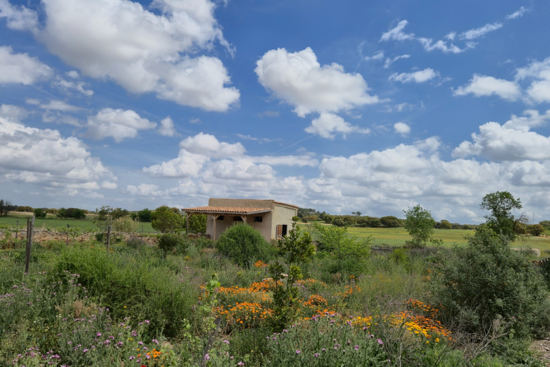 Resale - Commercial -
Almansa