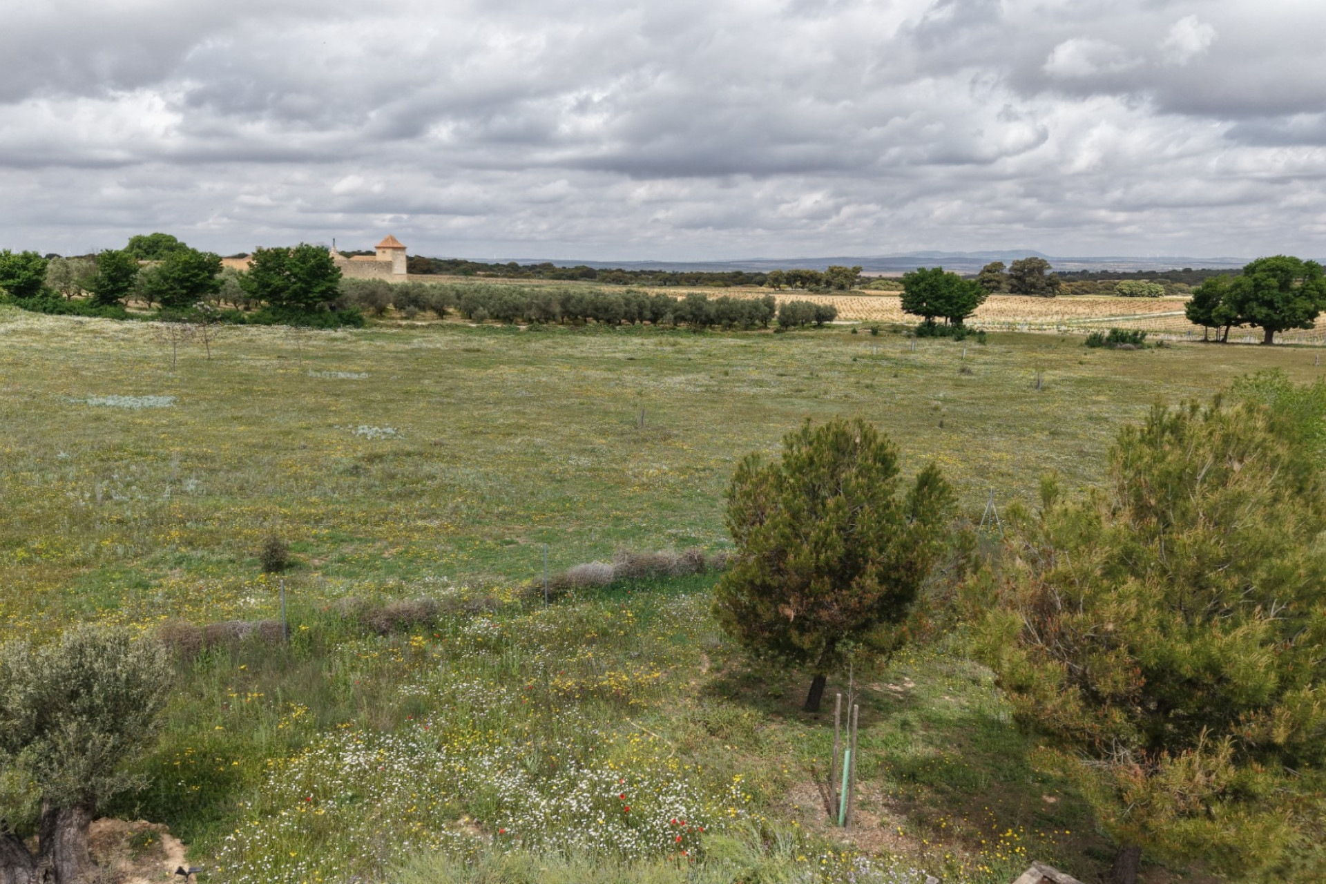Resale - Commercial -
Almansa