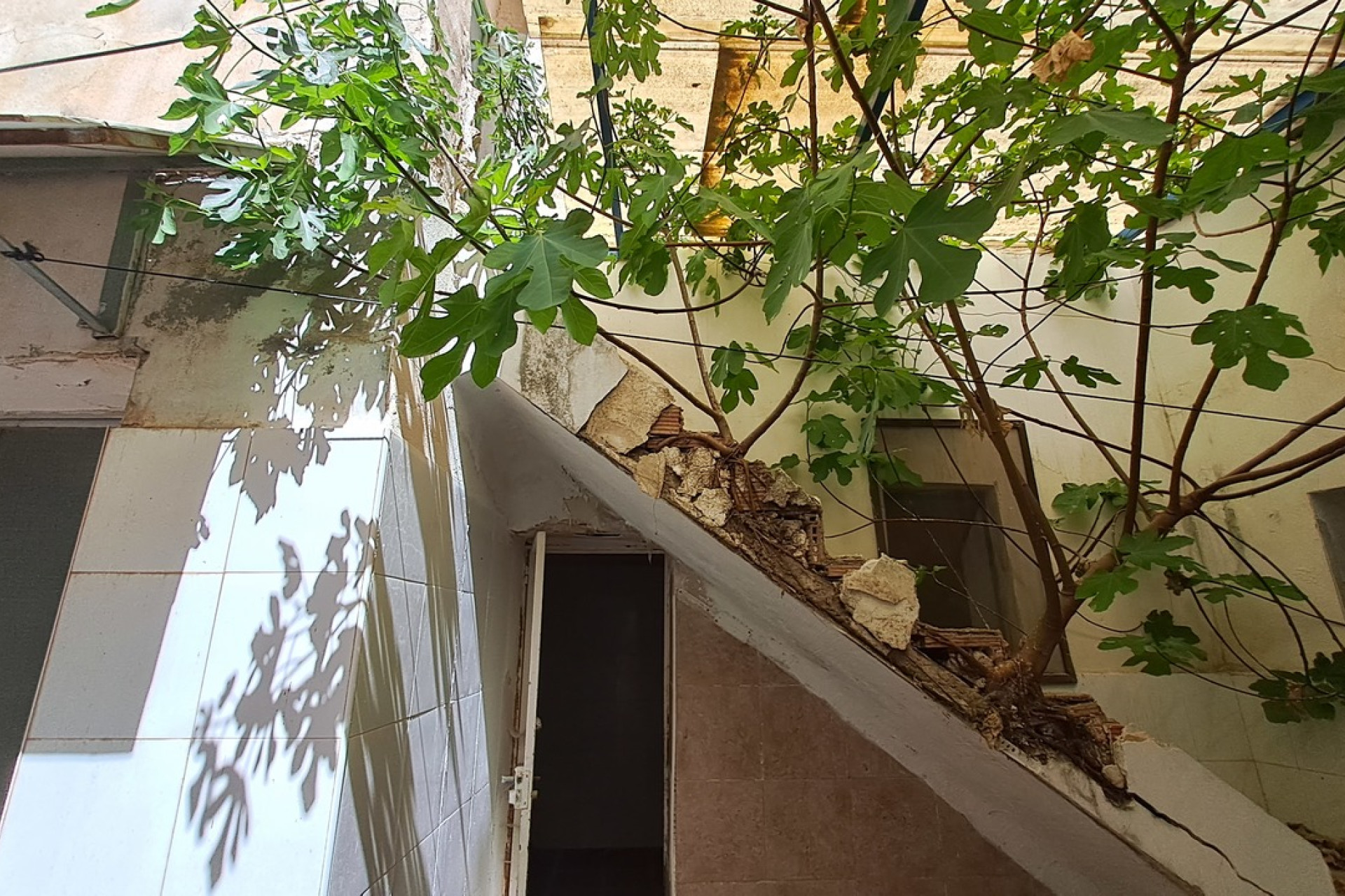 Resale - Commercial -
Orihuela