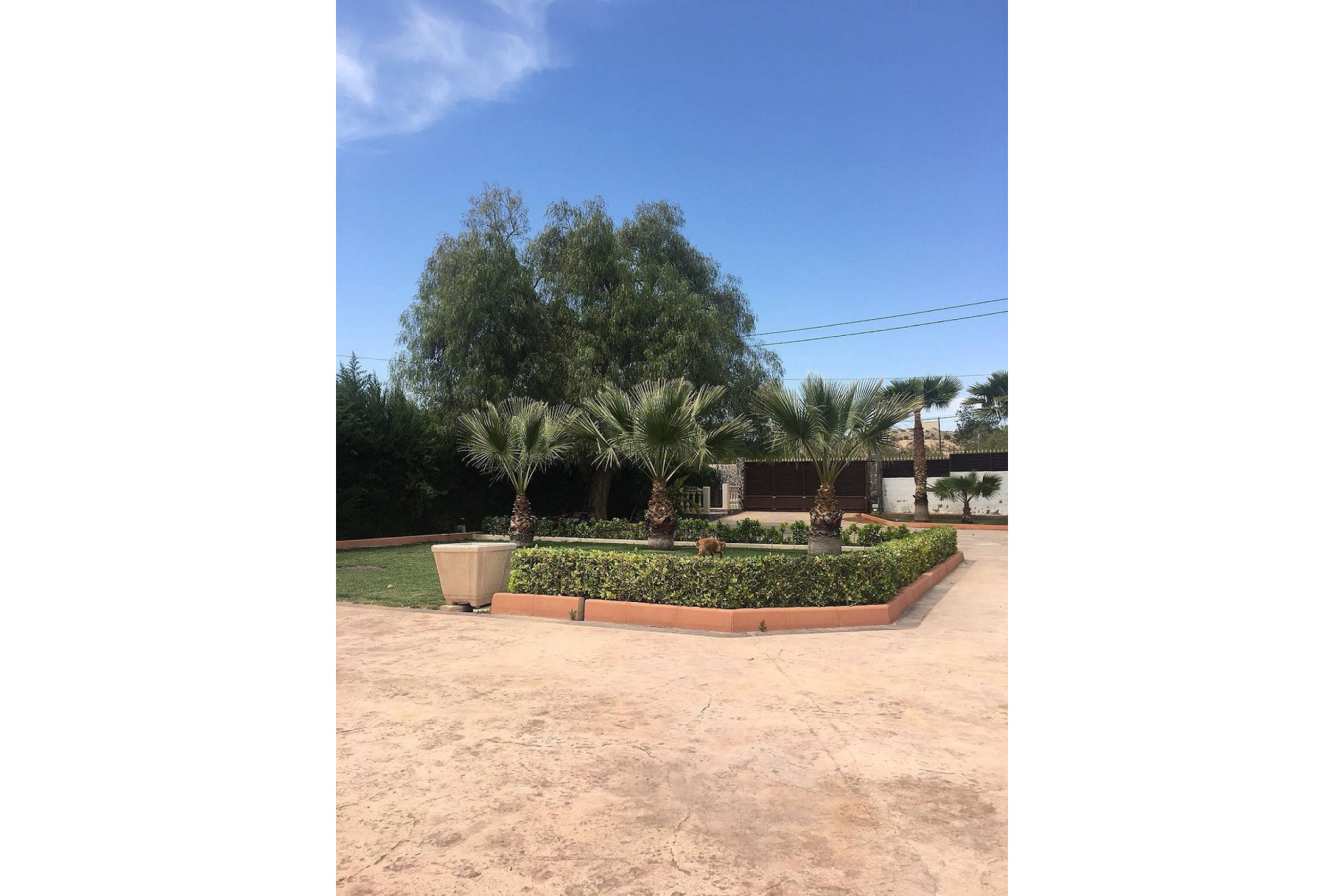 Resale - Detached Villa -
Novelda