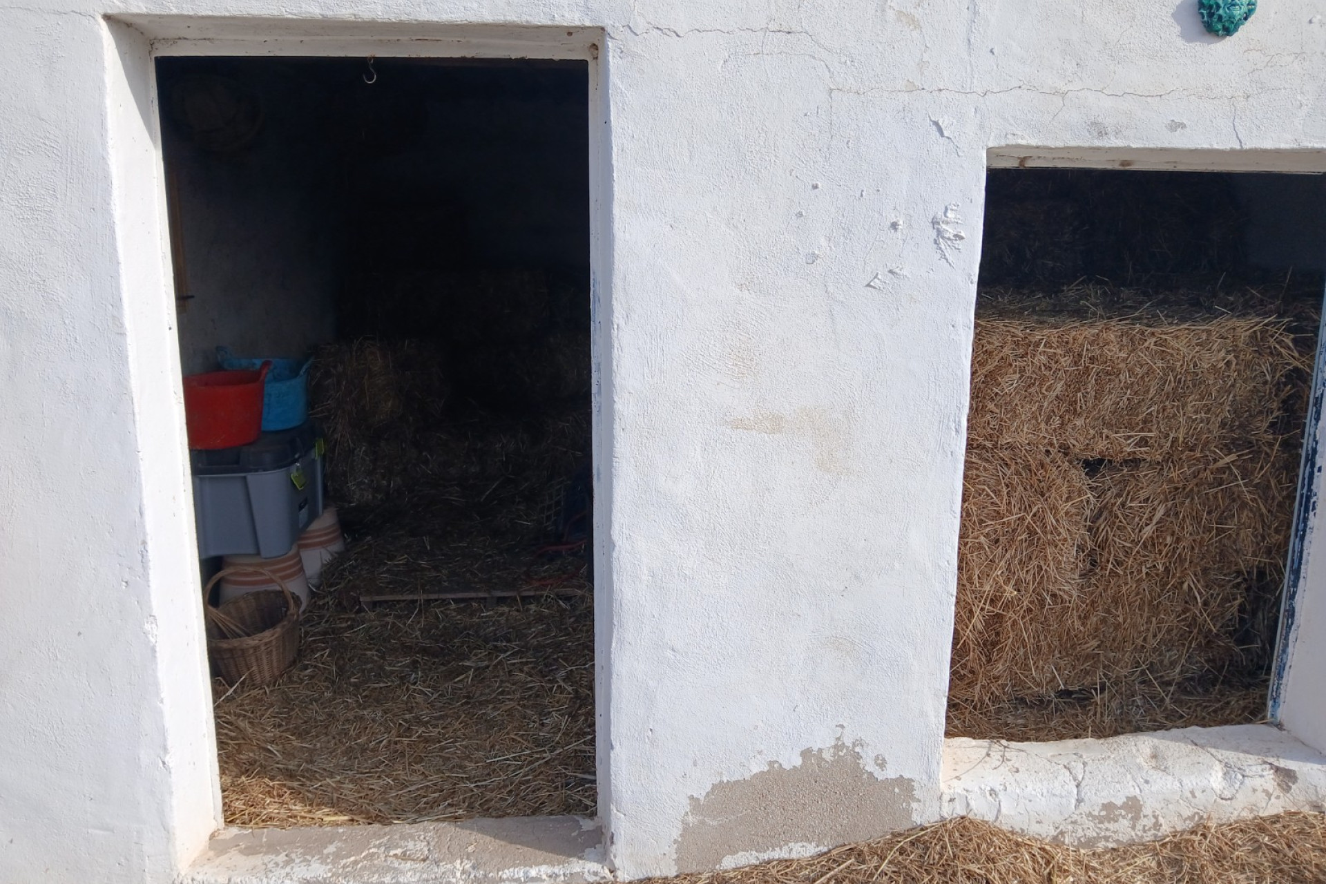 Resale - Equestrian property -
Monovar