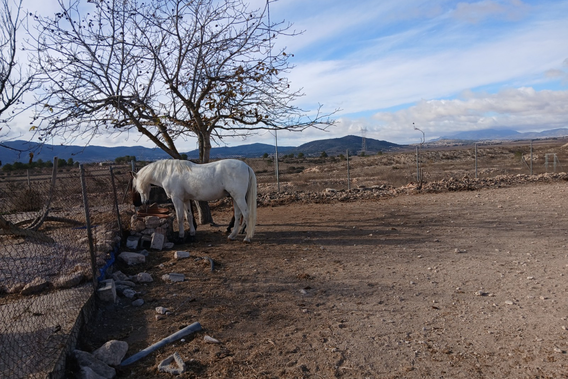 Resale - Equestrian property -
Monovar