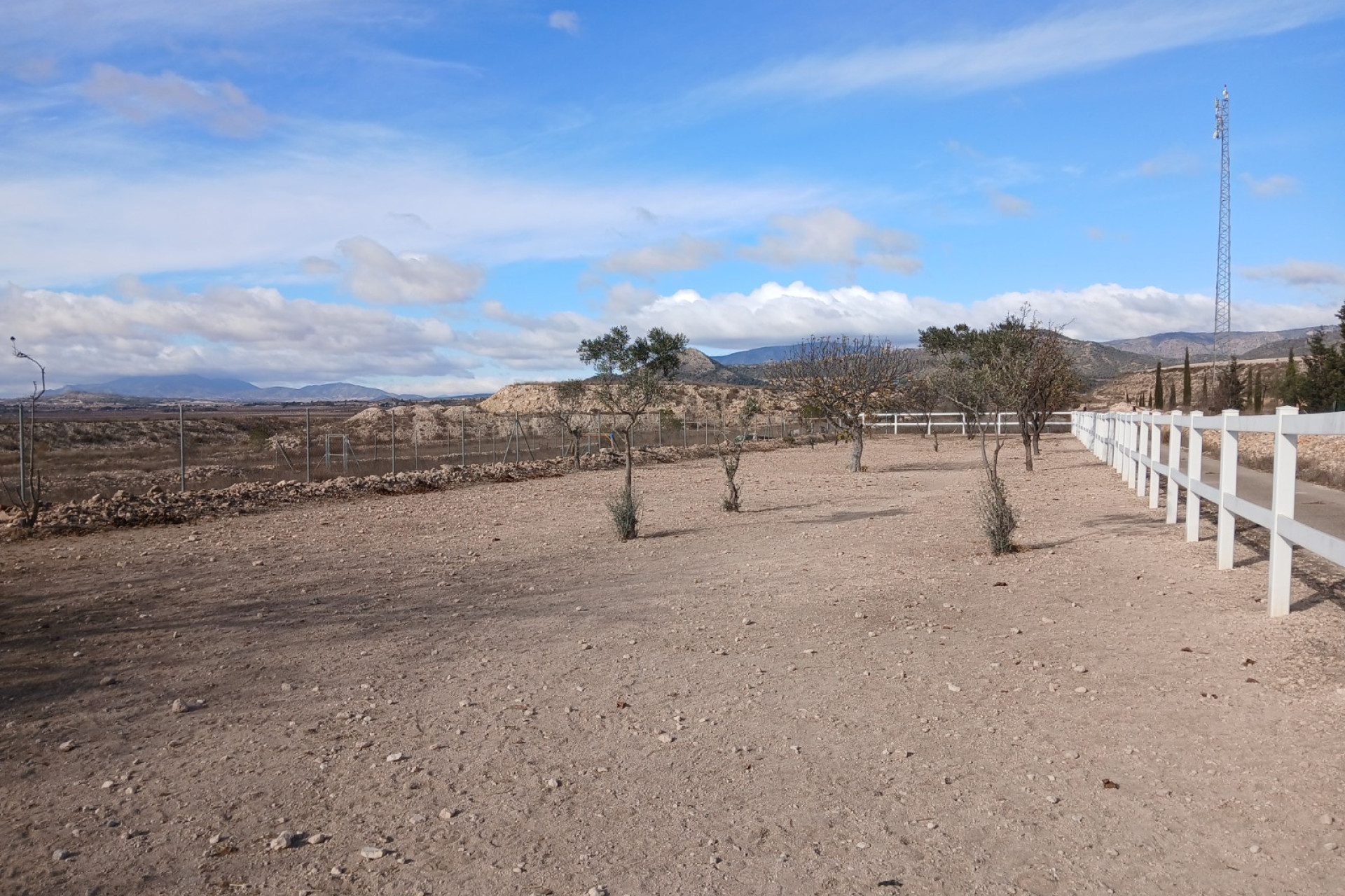 Resale - Equestrian property -
Monovar