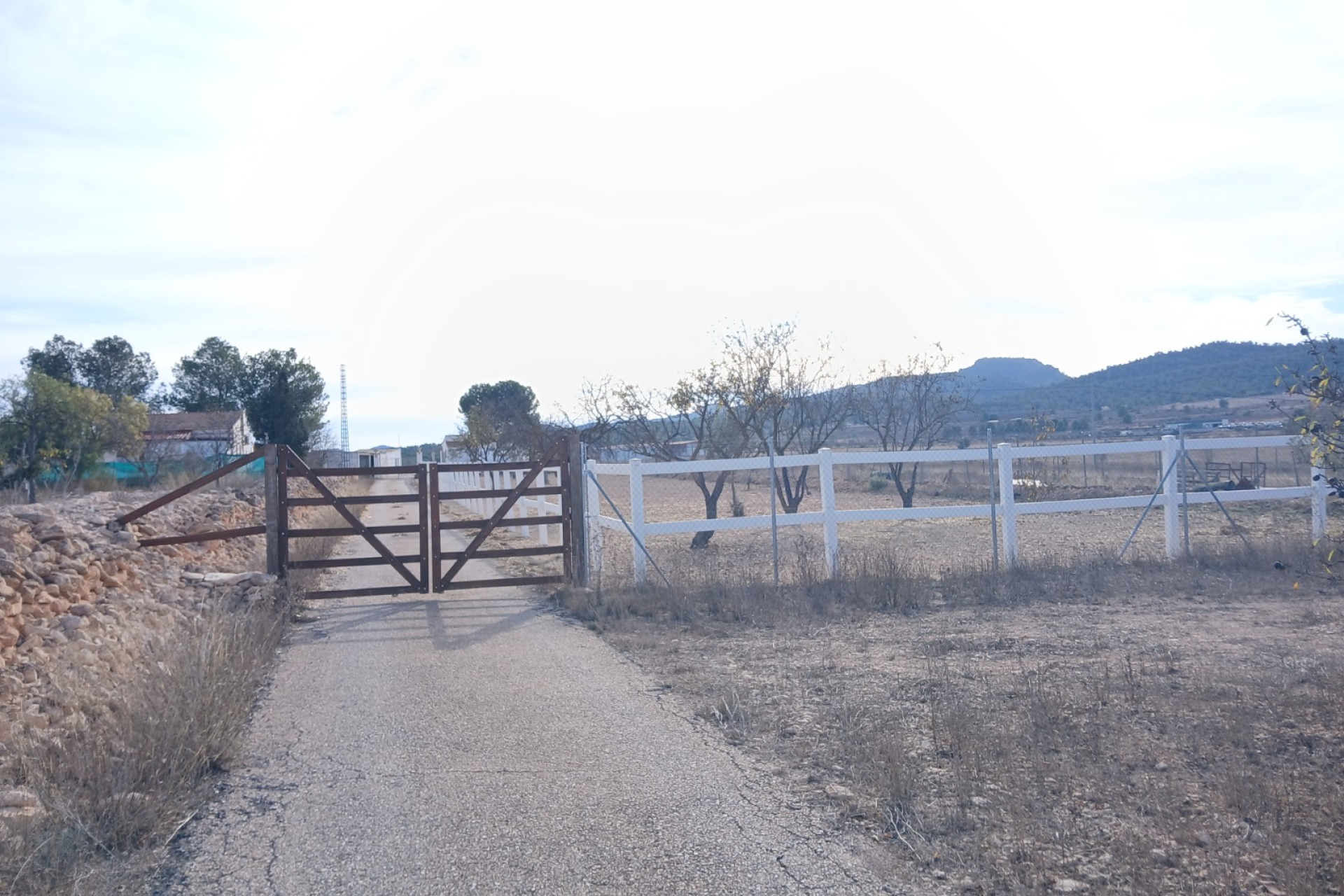 Resale - Equestrian property -
Monovar