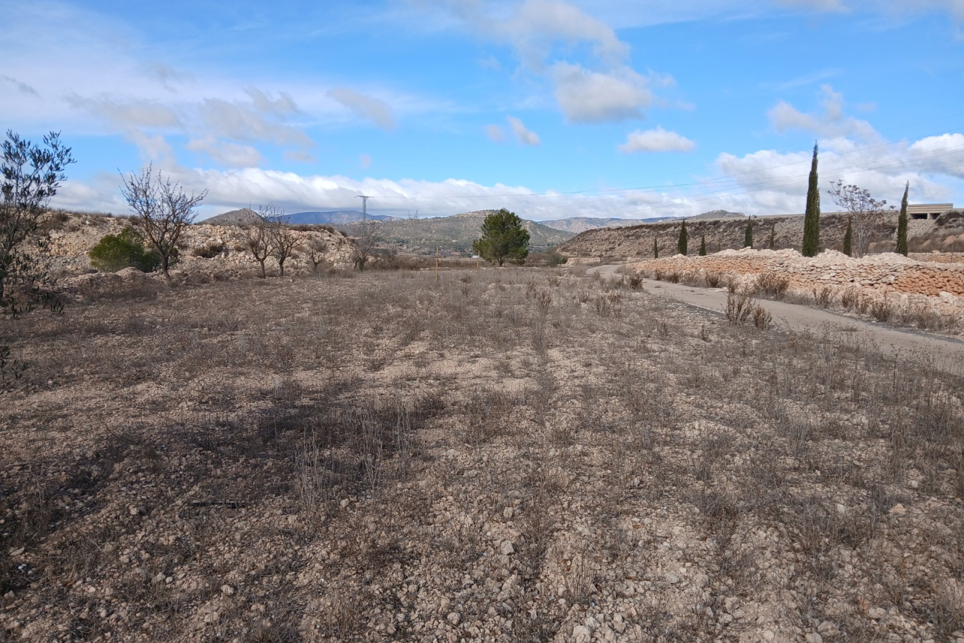 Resale - Equestrian property -
Monovar