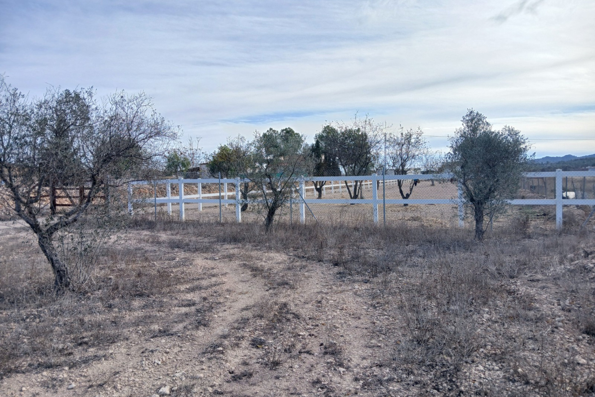 Resale - Equestrian property -
Monovar