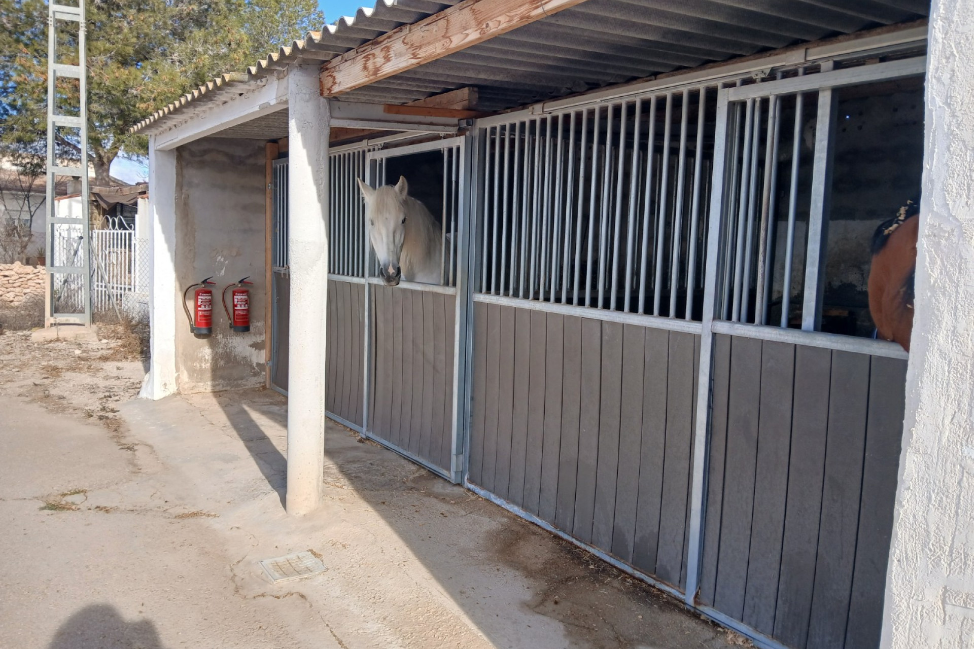 Resale - Equestrian property -
Monovar