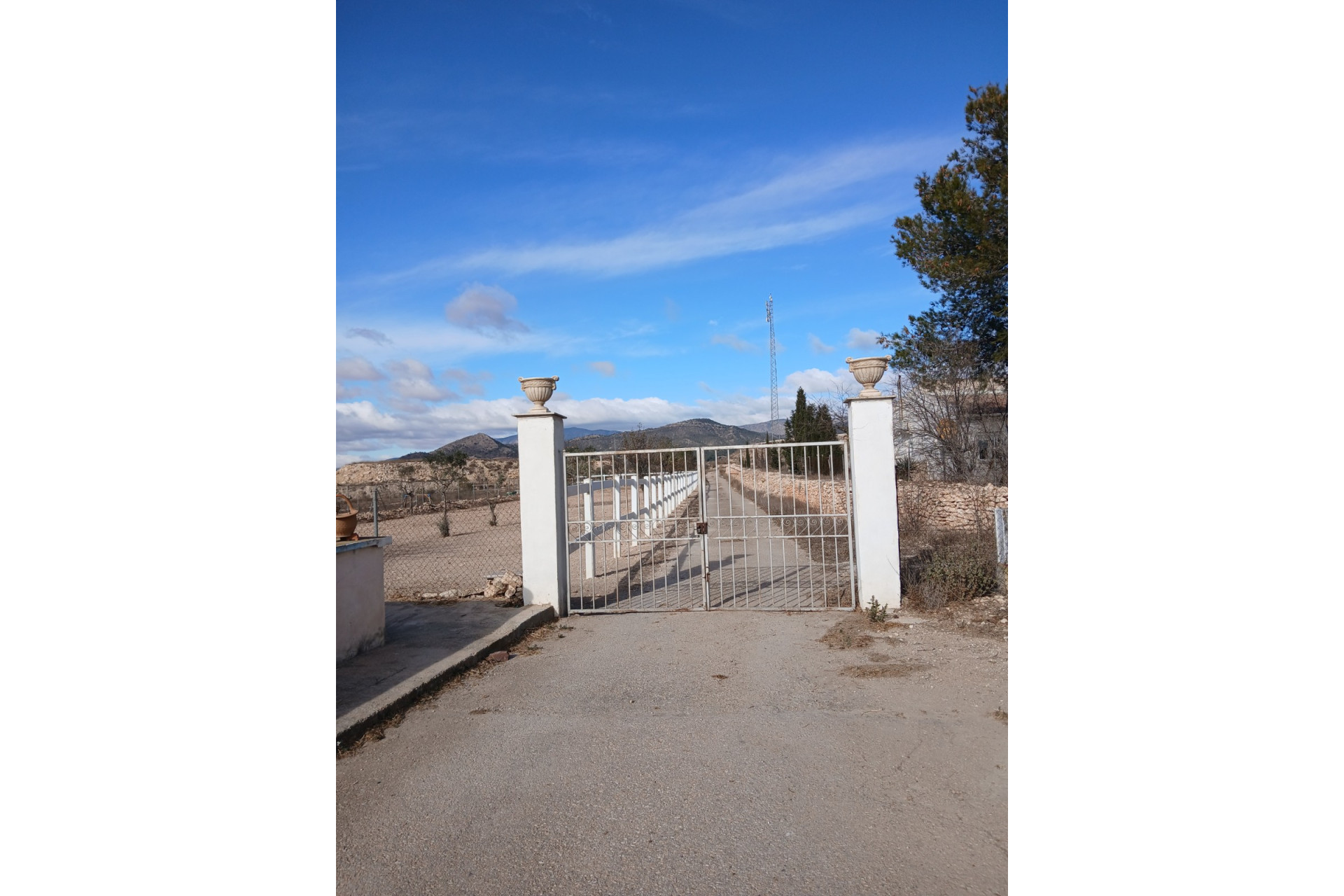 Resale - Equestrian property -
Monovar