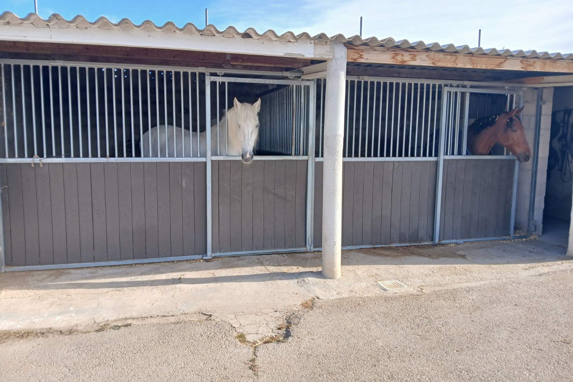 Resale - Equestrian property -
Monovar