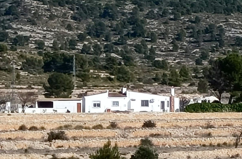 Resale - Equestrian property -
Monovar